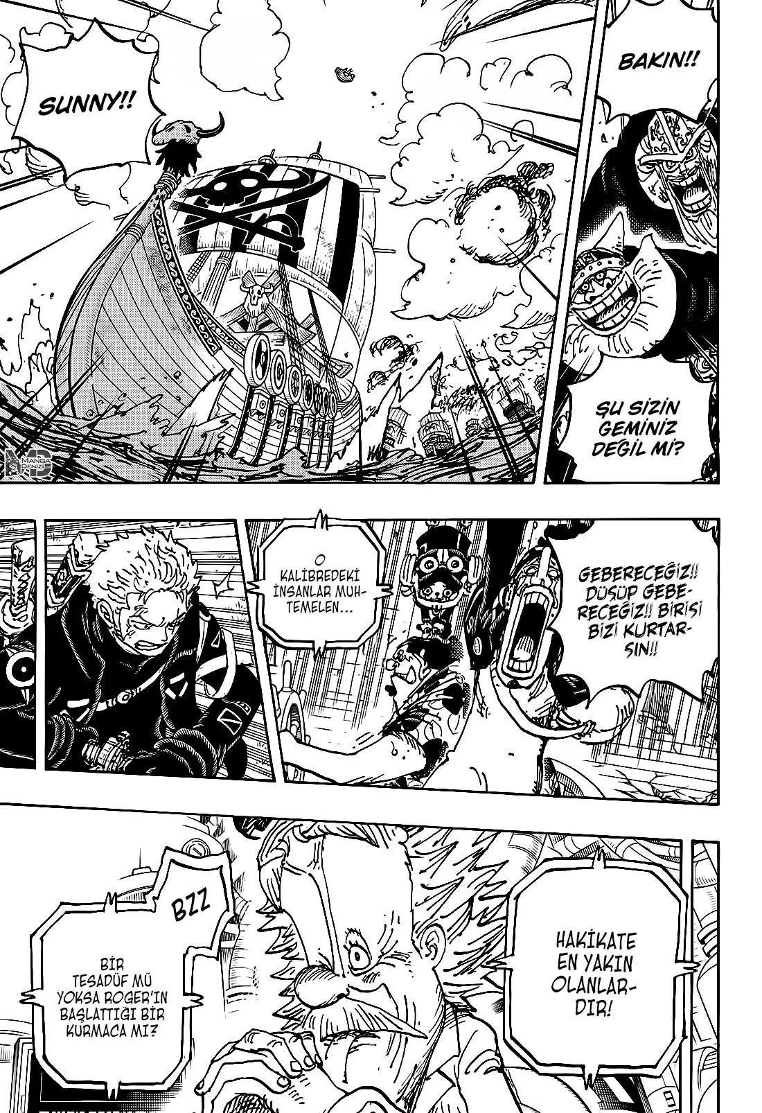 One Piece - Sayfa 11