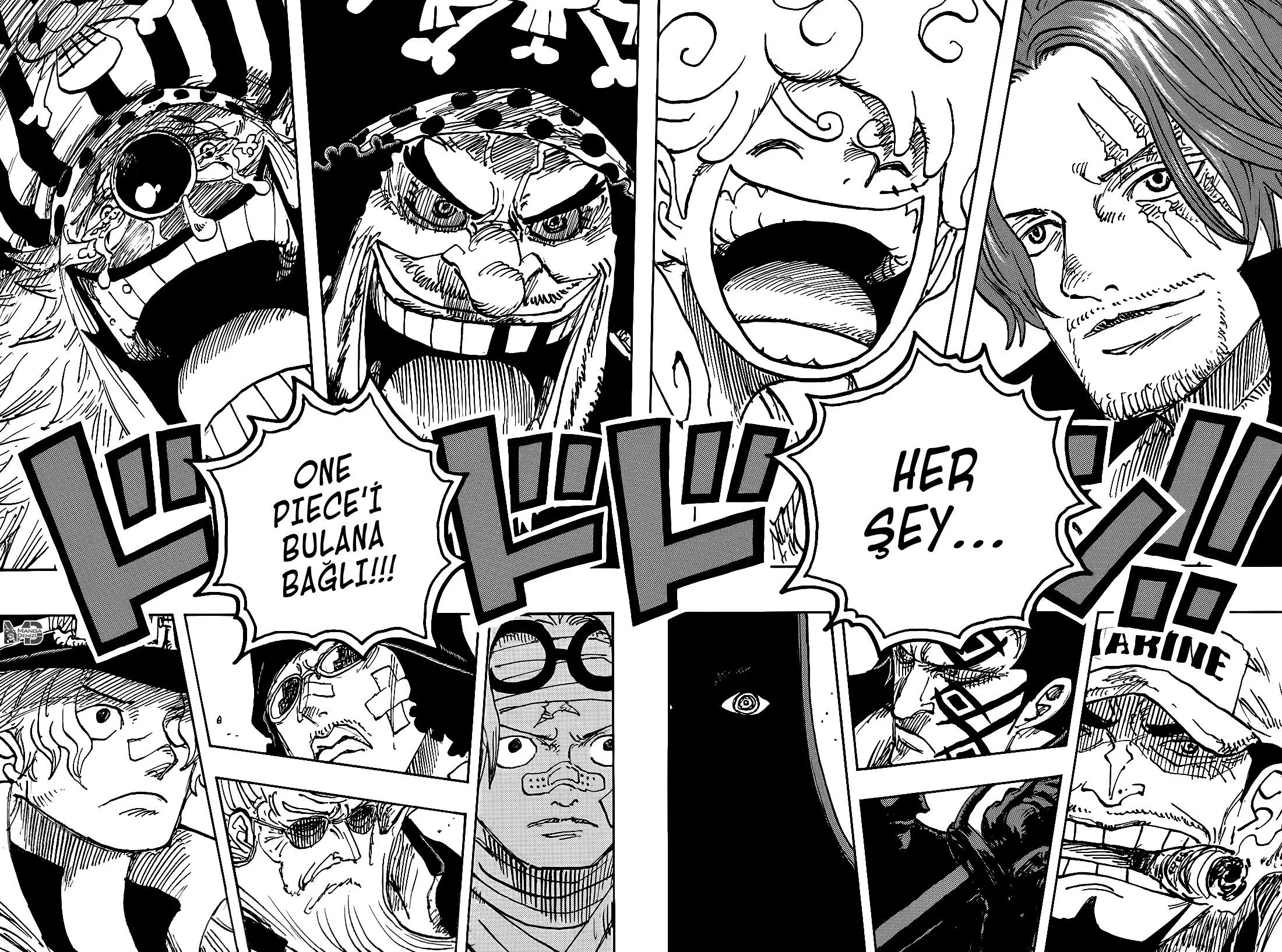 One Piece - Sayfa 14