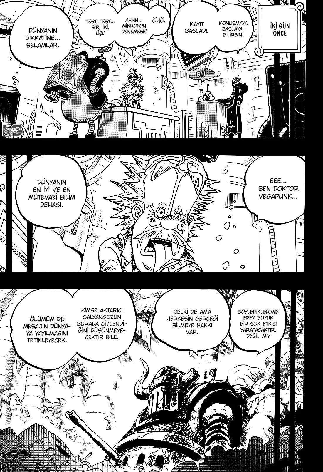 One Piece - Sayfa 13