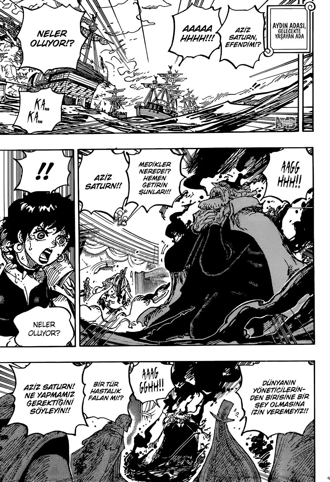 One Piece - Sayfa 12