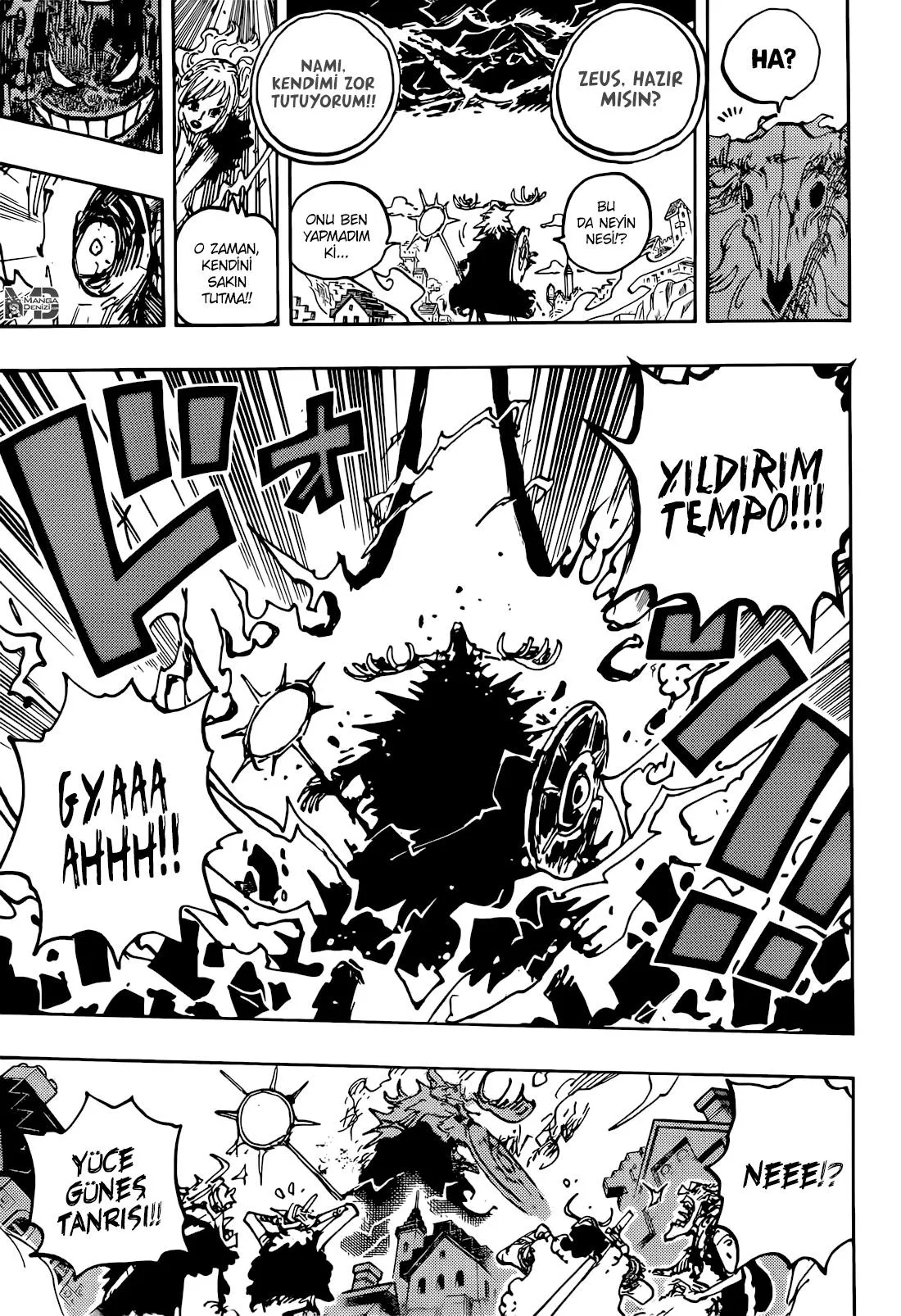 One Piece - Sayfa 15