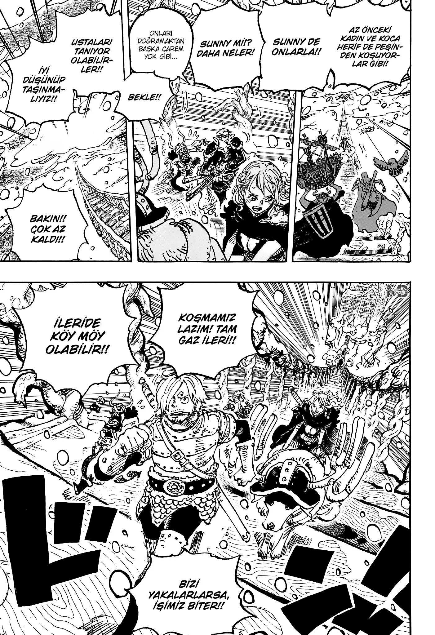 One Piece - Sayfa 12