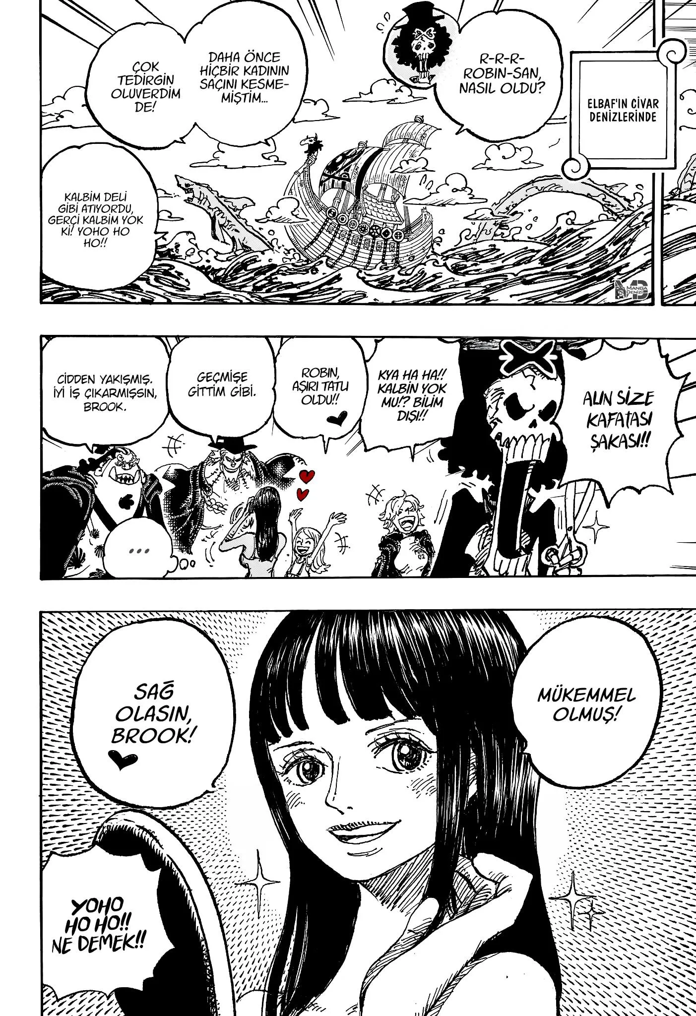 One Piece - Sayfa 14