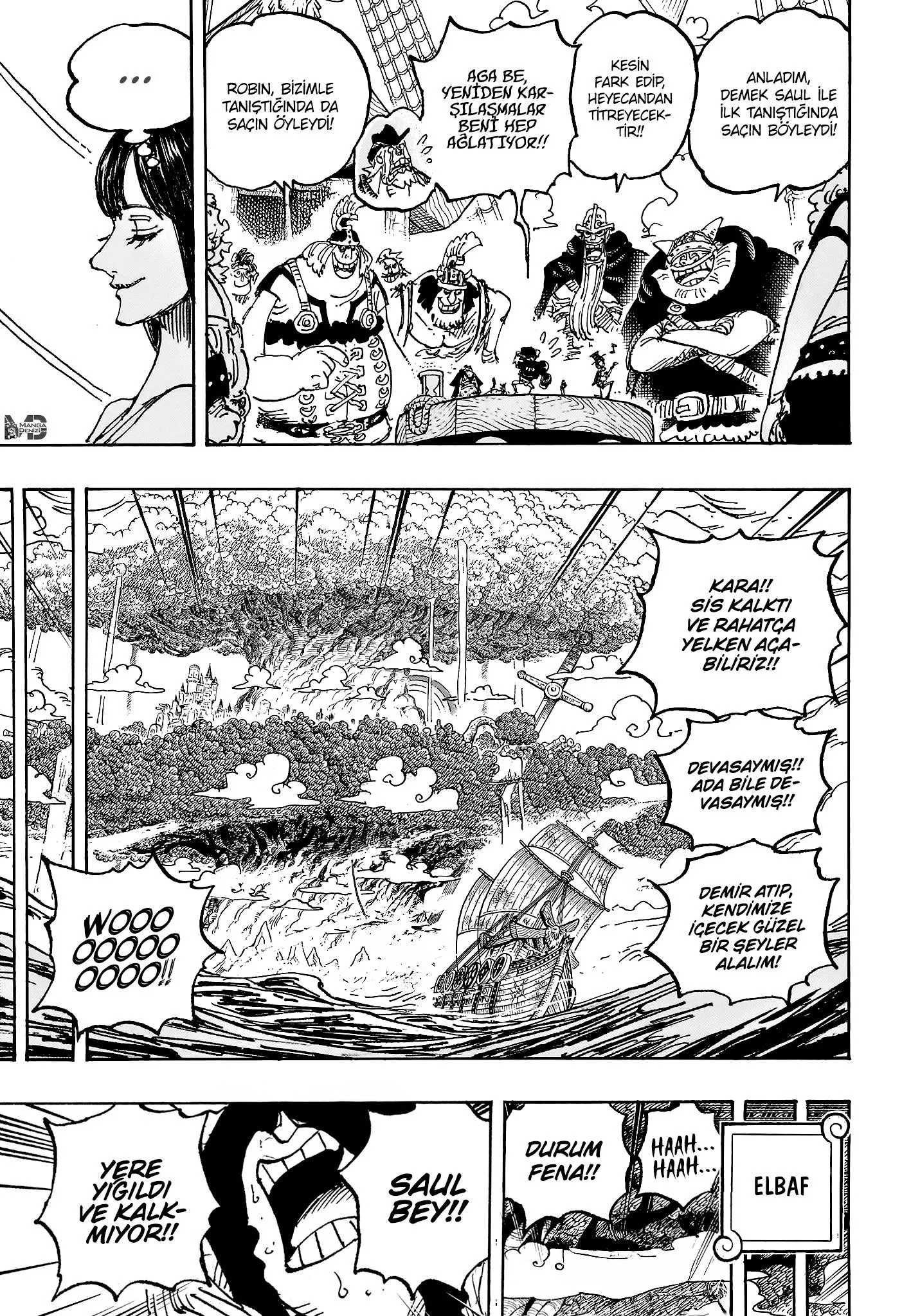 One Piece - Sayfa 15