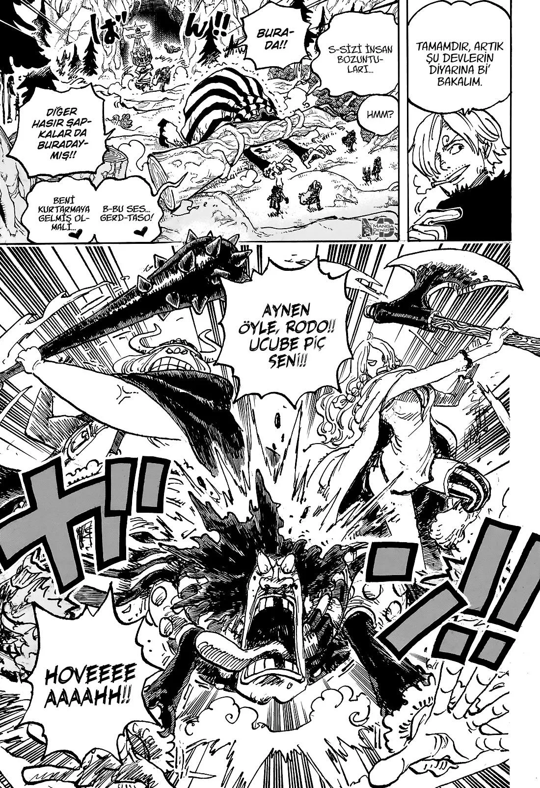 One Piece - Sayfa 11