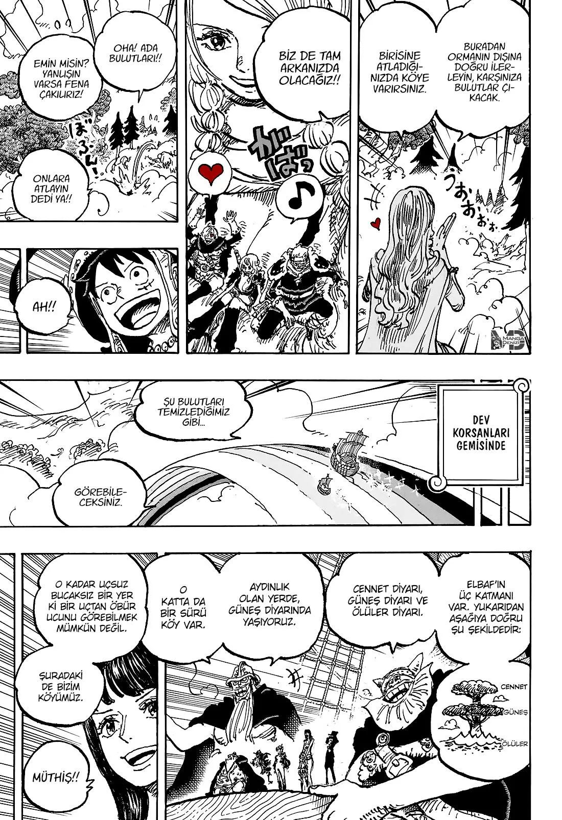 One Piece - Sayfa 13