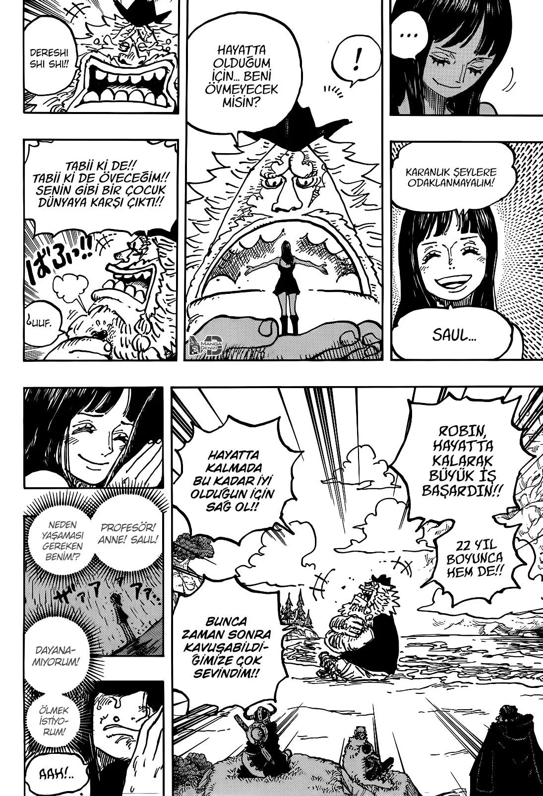 One Piece - Sayfa 15