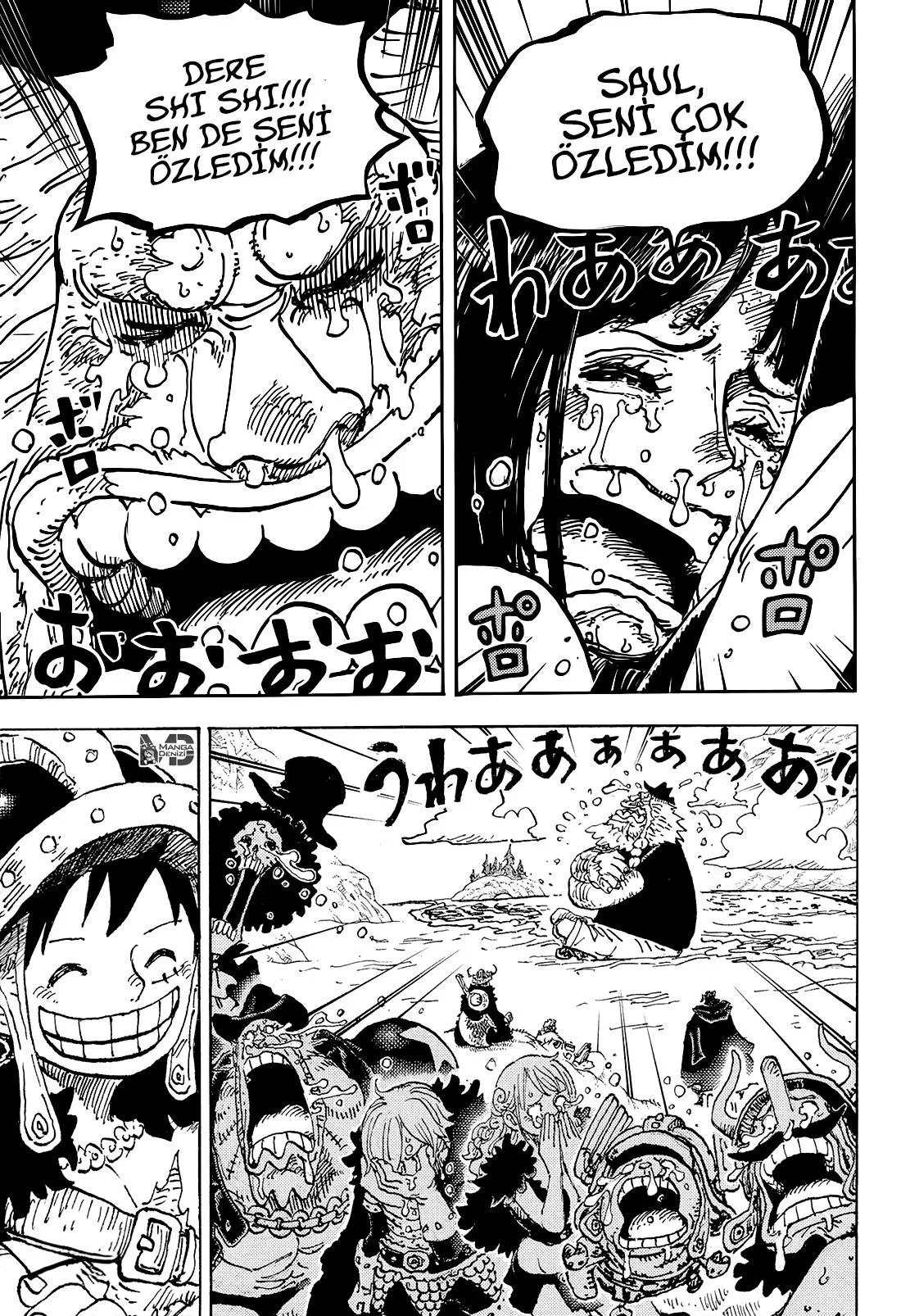 One Piece - Bölüm 1133 - Sayfa 16