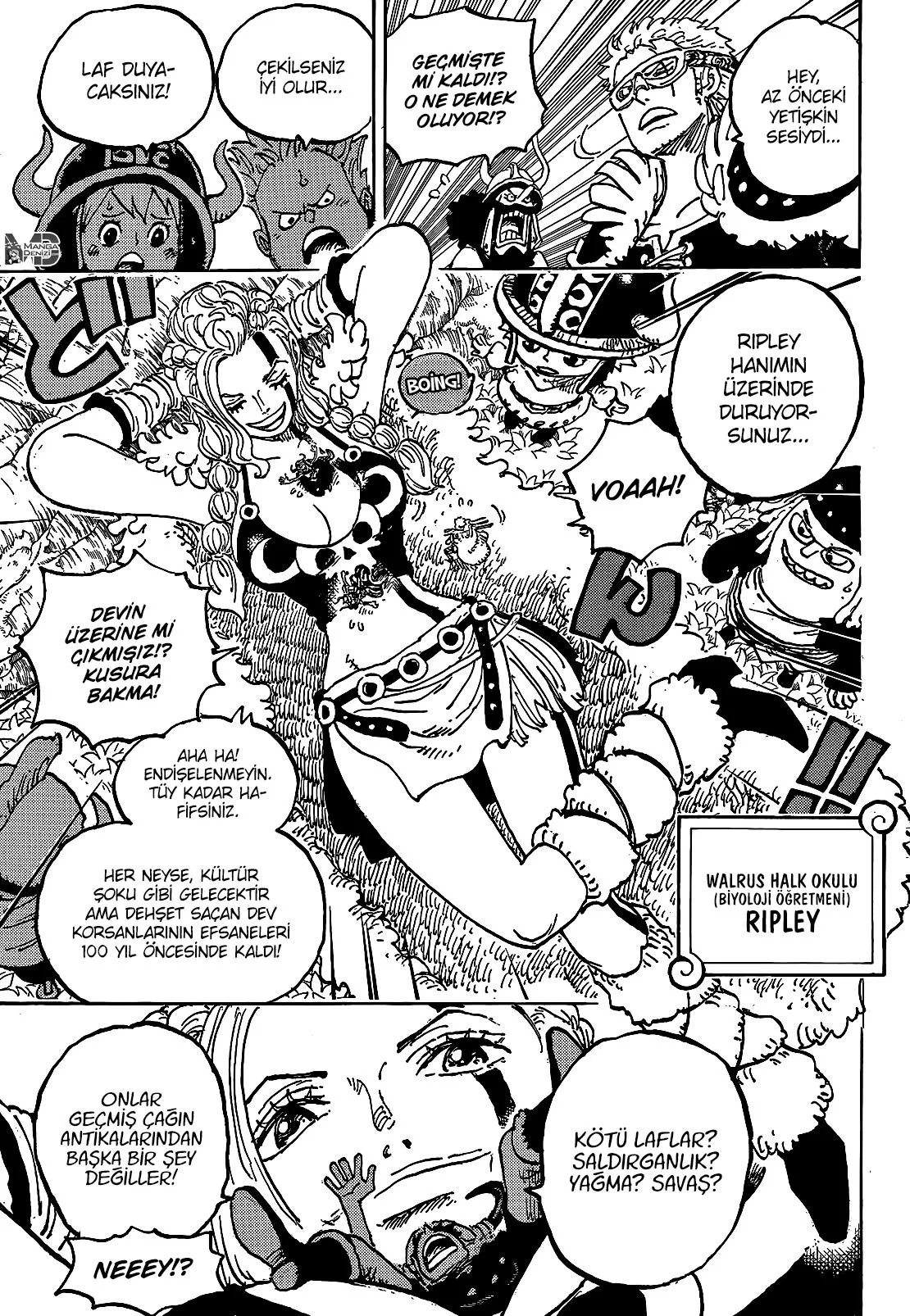 One Piece - Sayfa 10