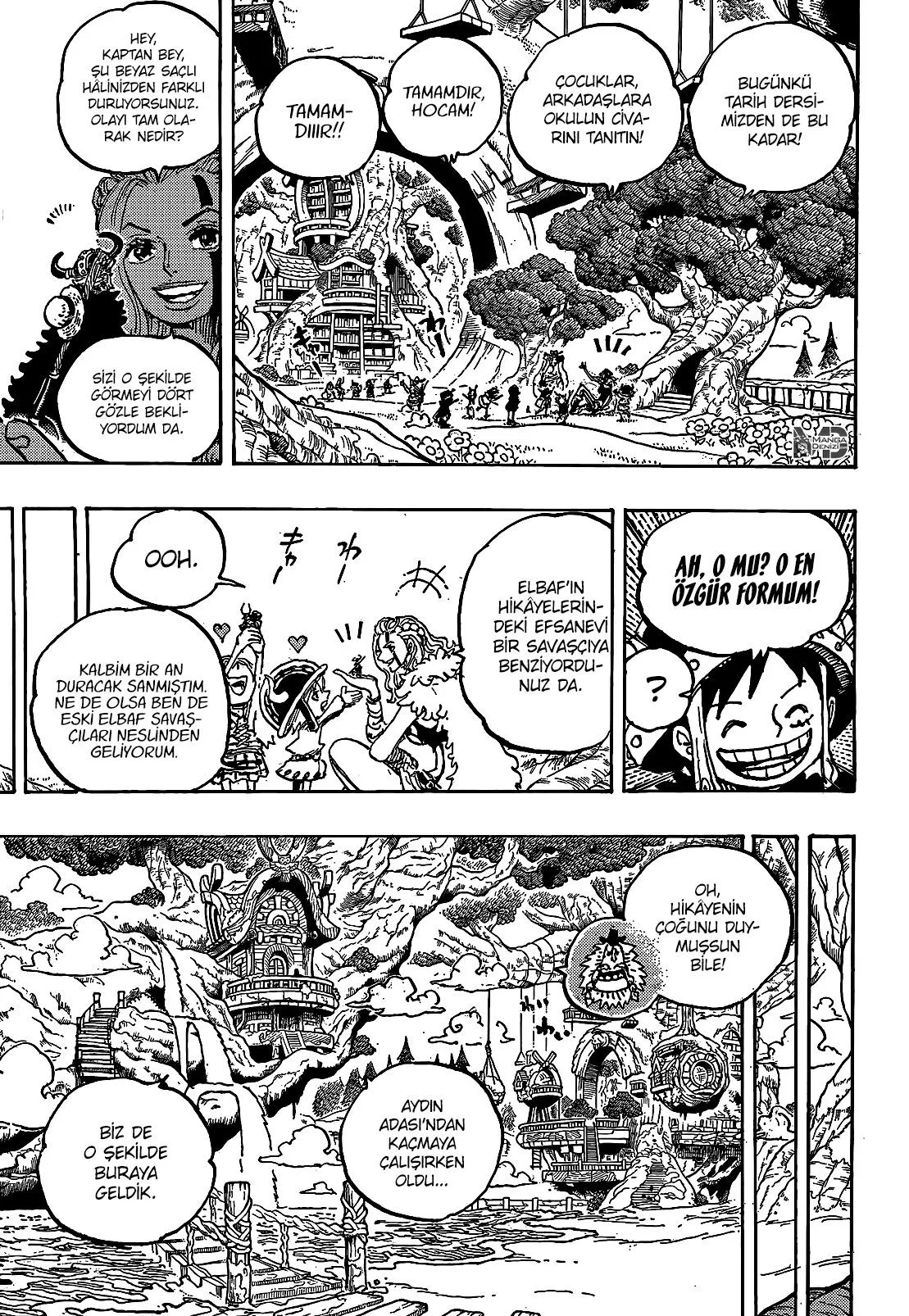 One Piece - Sayfa 12