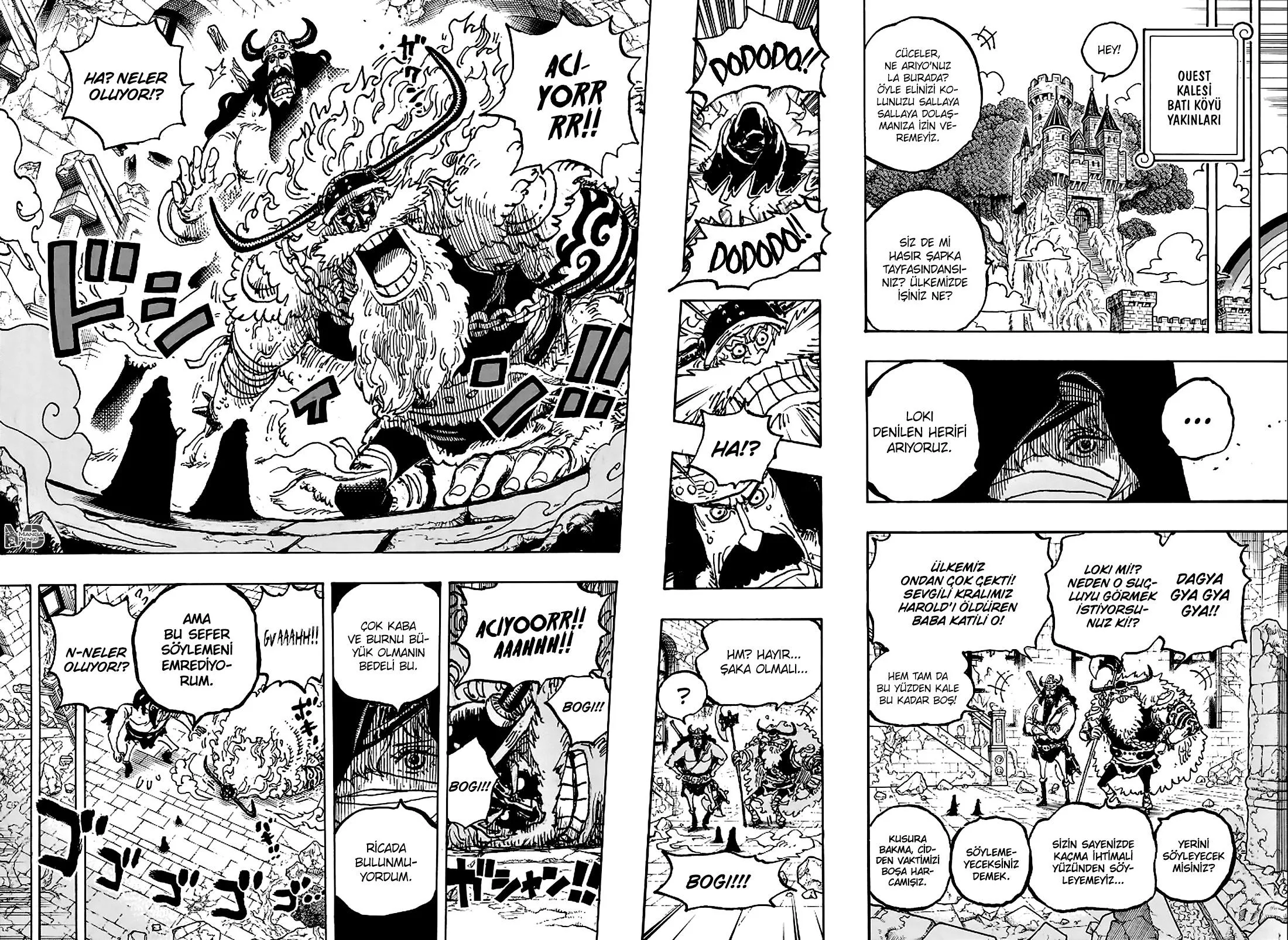 One Piece - Sayfa 12