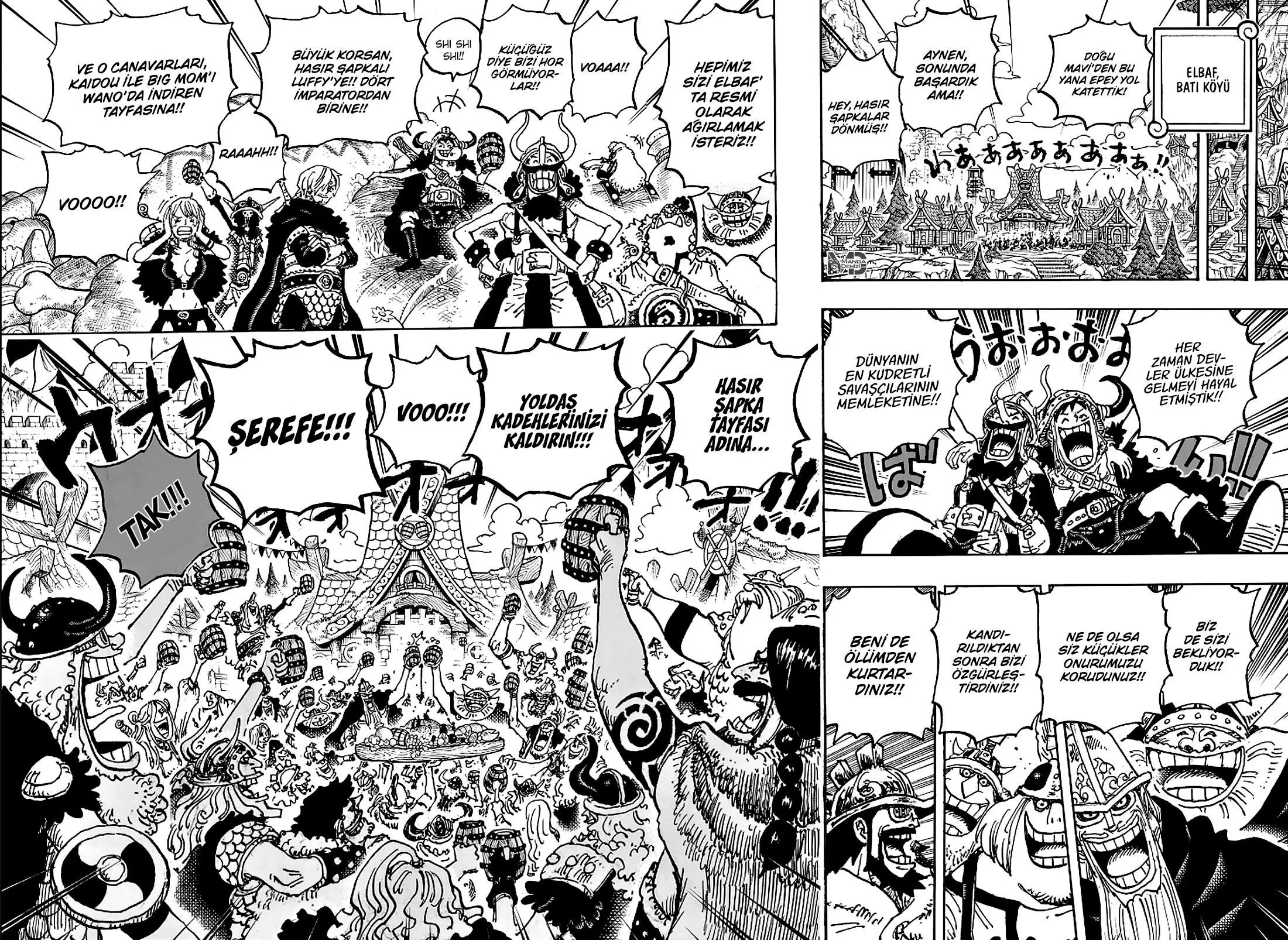 One Piece - Sayfa 13
