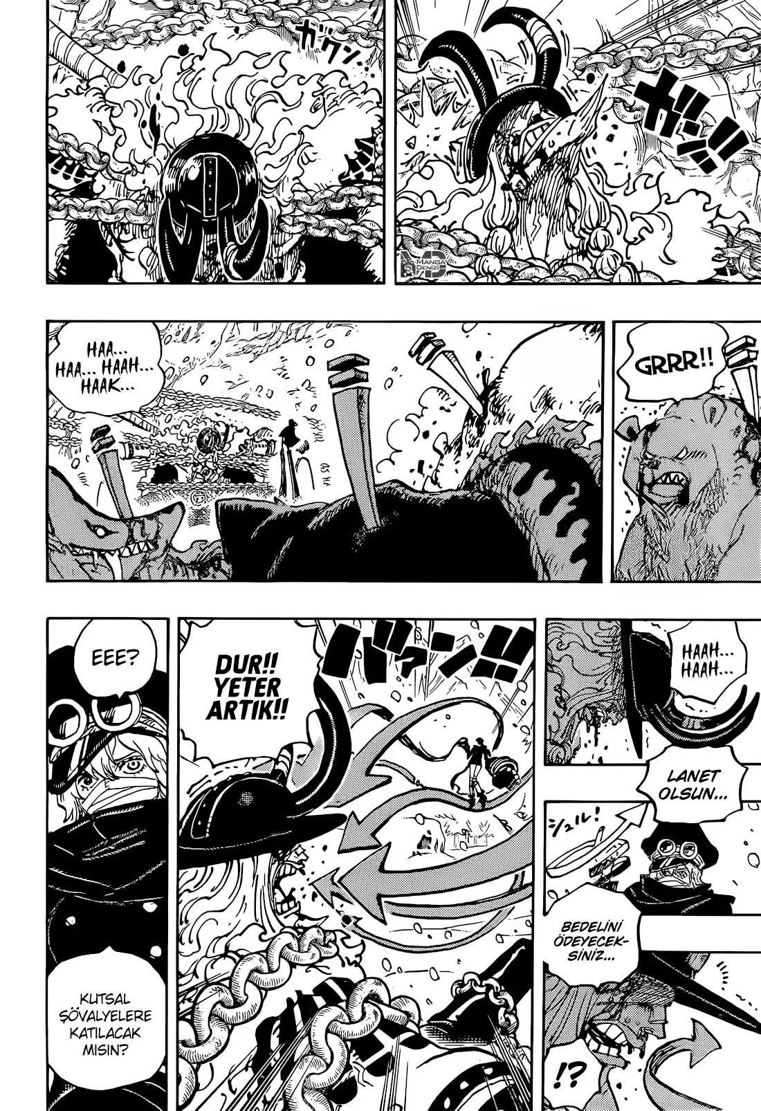 One Piece - Sayfa 14