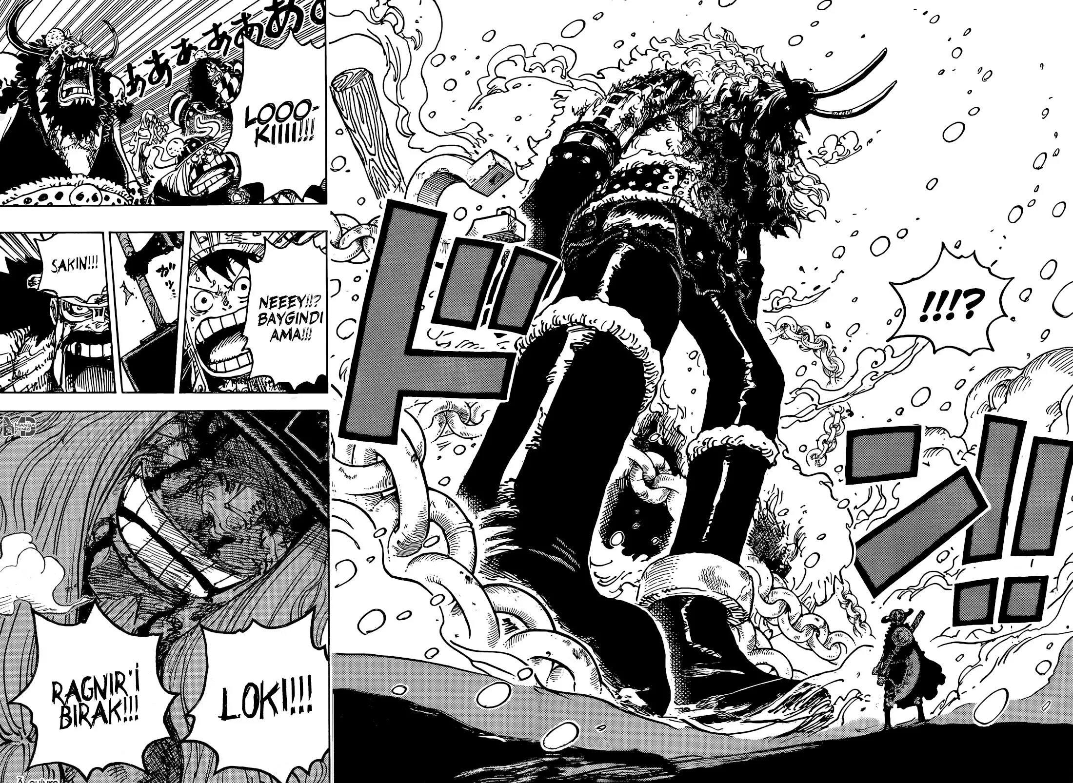 One Piece - Sayfa 15