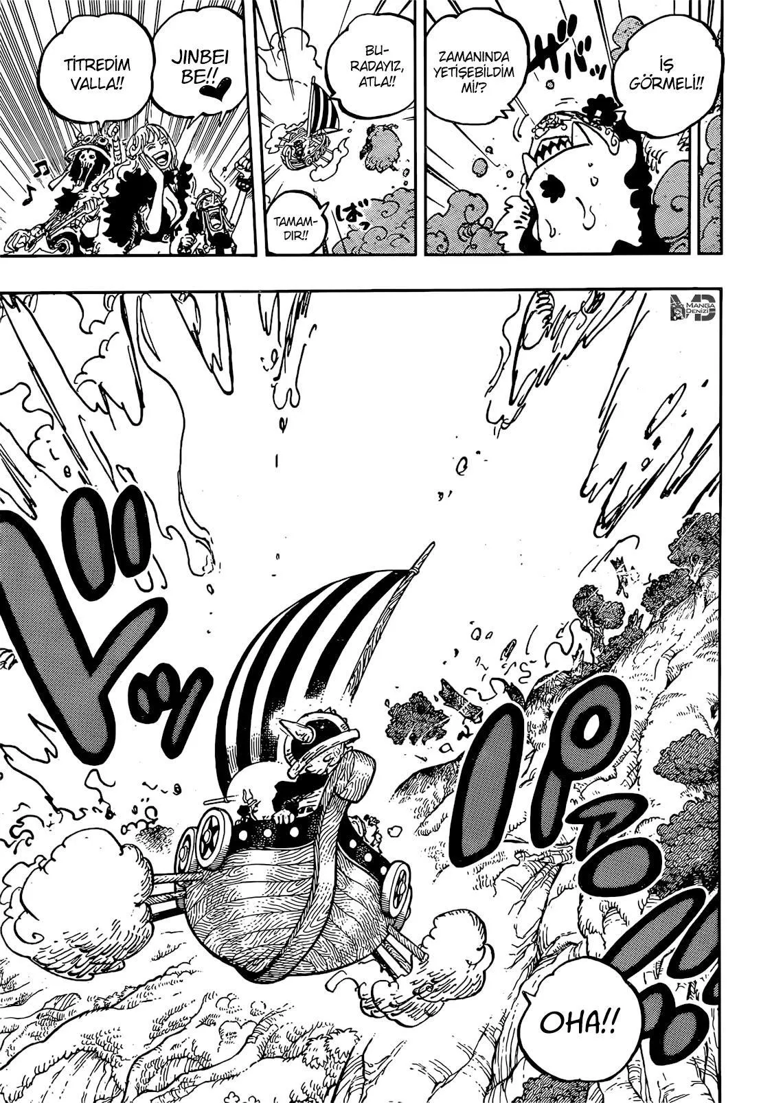 One Piece - Sayfa 15