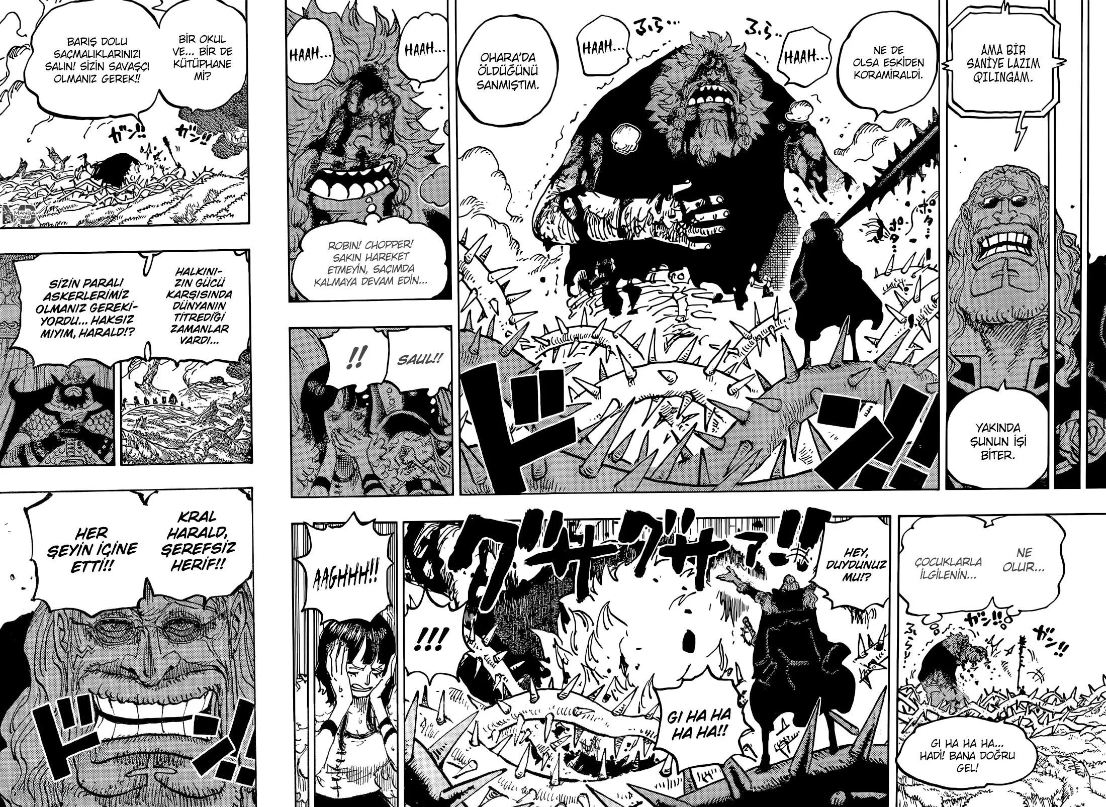 One Piece - Sayfa 17