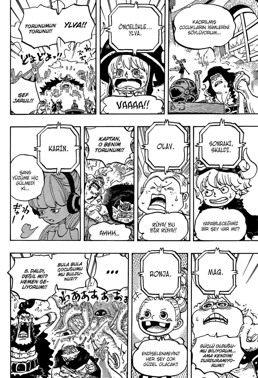 One Piece - Sayfa 14