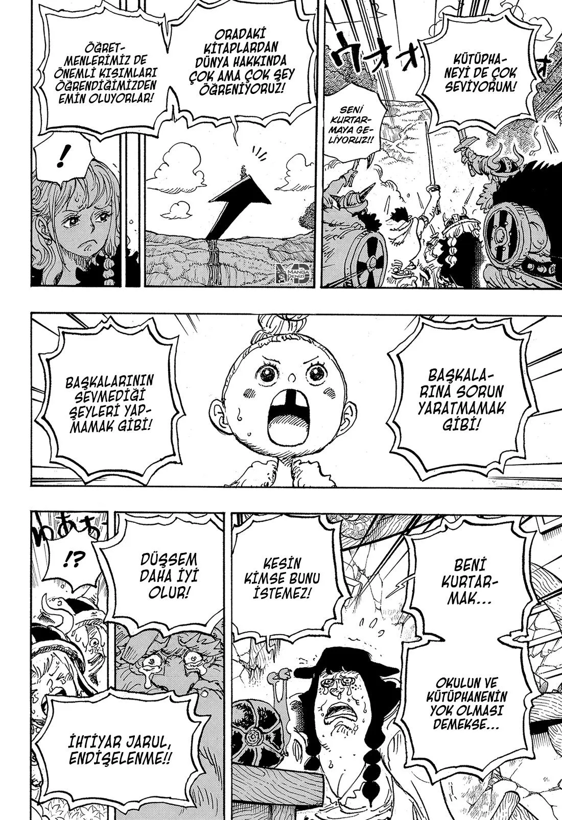 One Piece - Sayfa 13