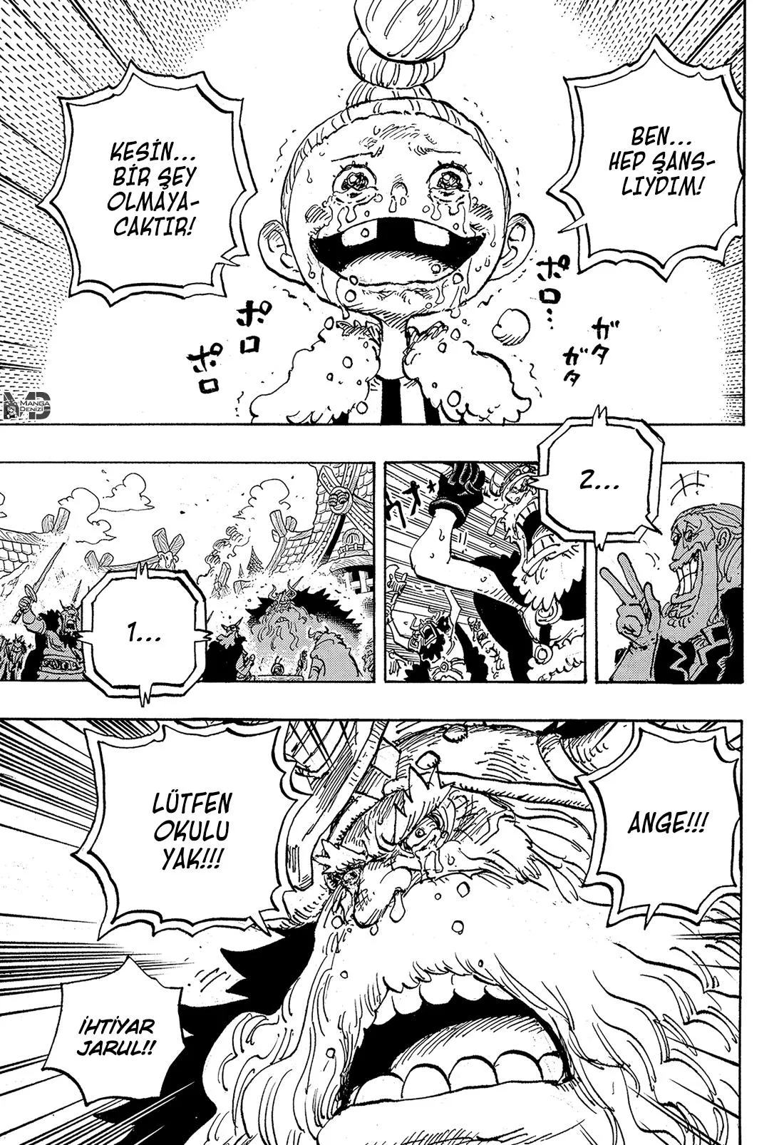 One Piece - Sayfa 14