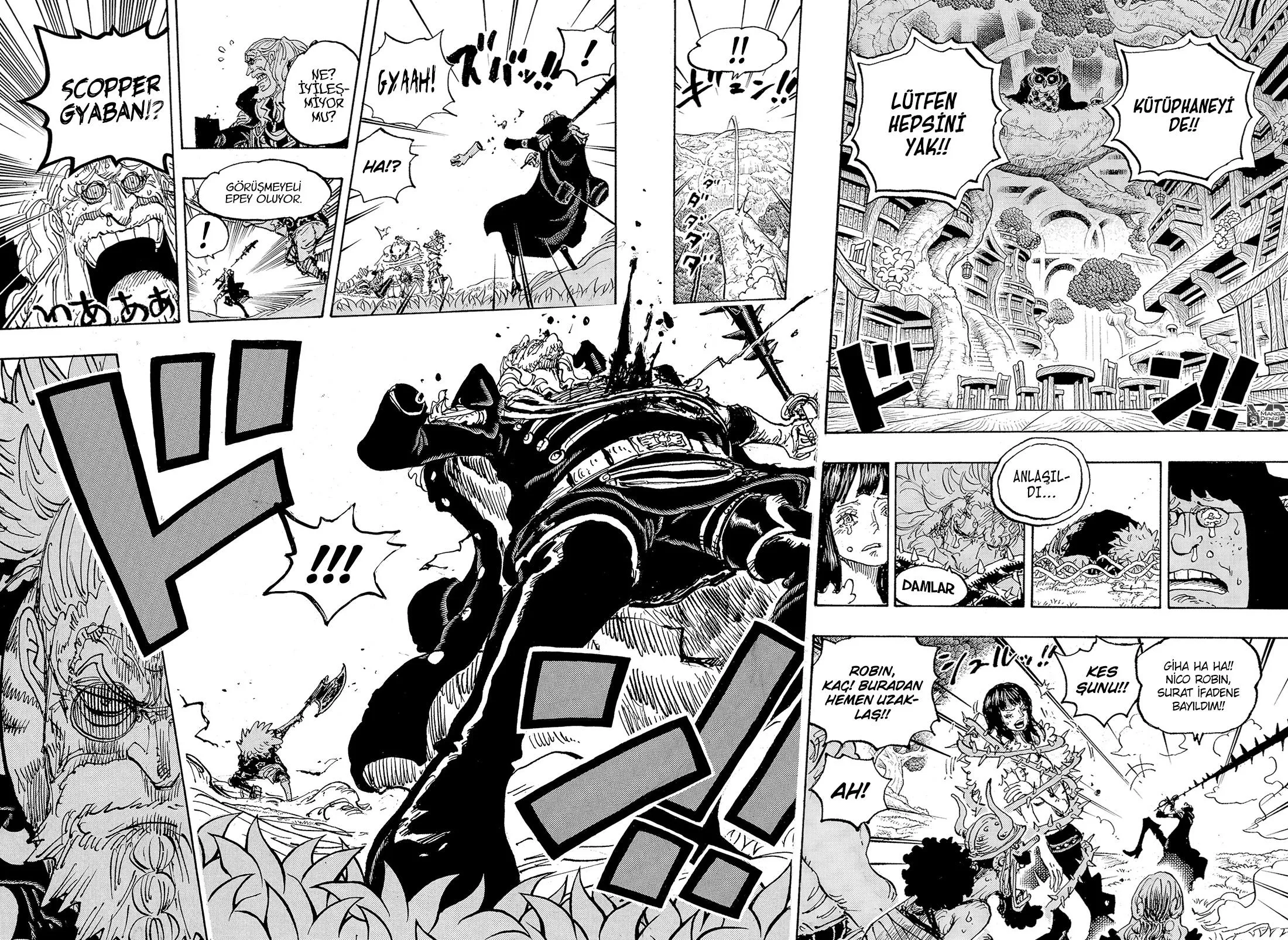 One Piece - Sayfa 15