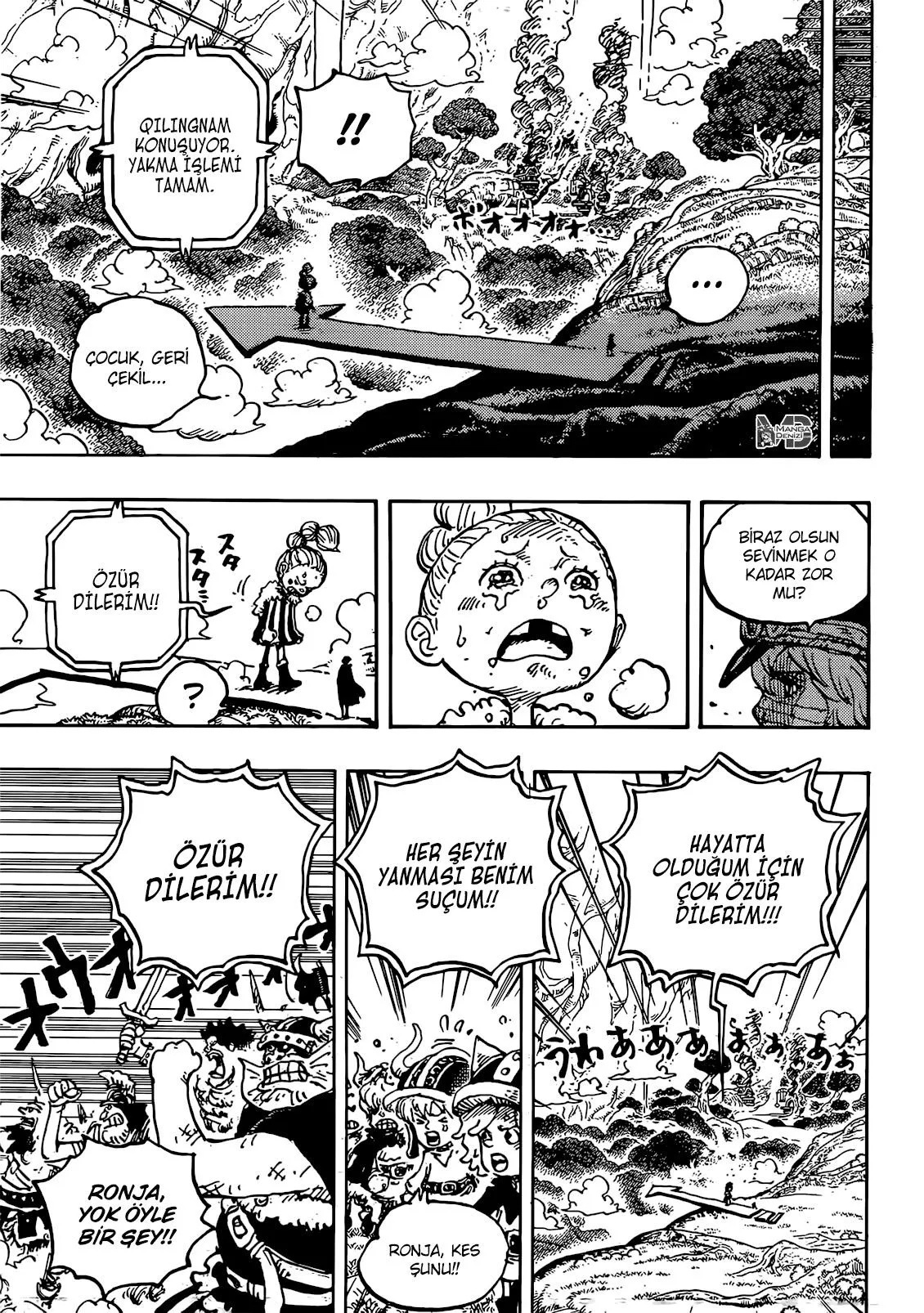 One Piece - Sayfa 10