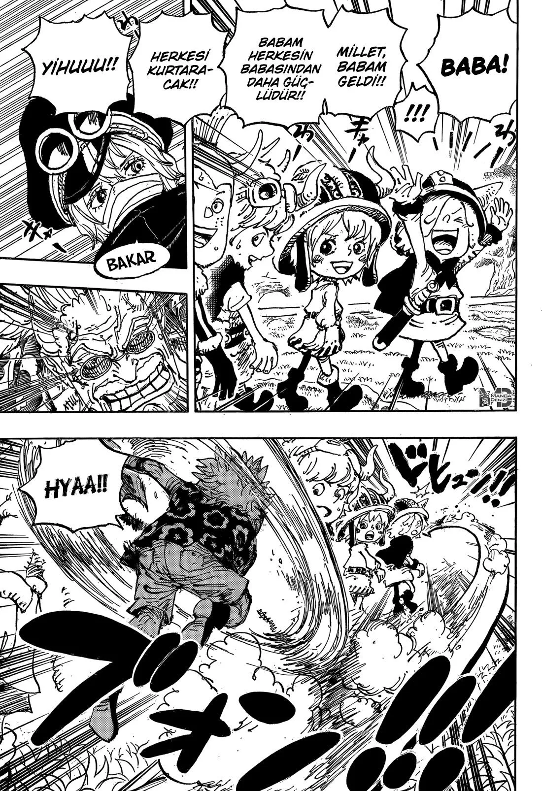 One Piece - Sayfa 12