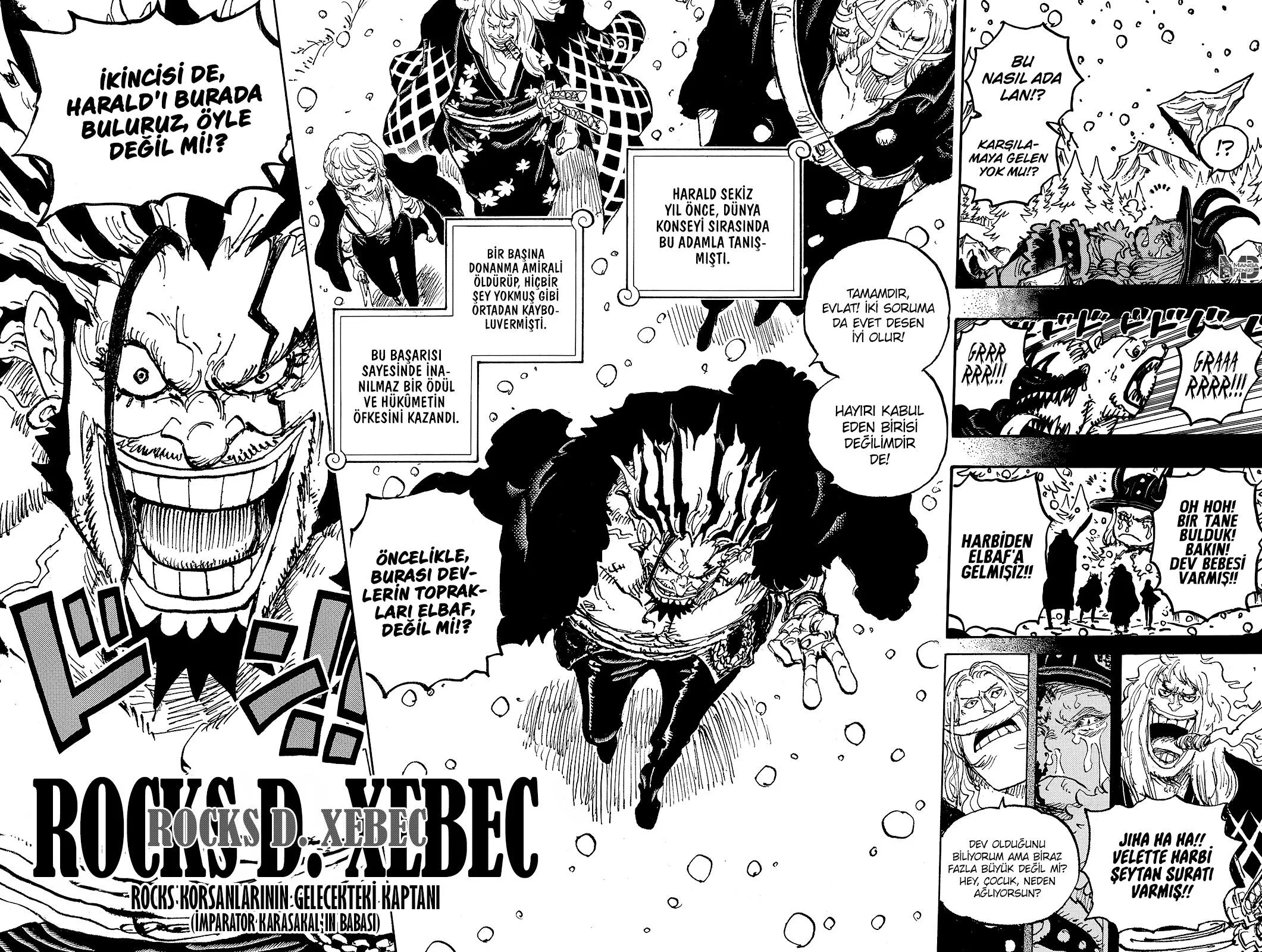 One Piece - Sayfa 15