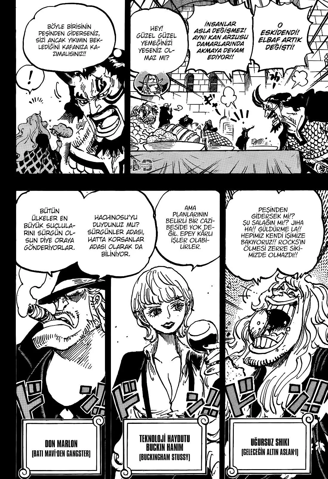 One Piece - Sayfa 12