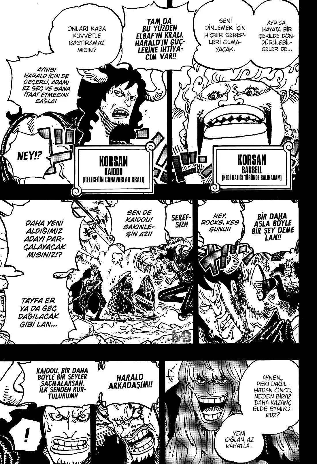 One Piece - Sayfa 15
