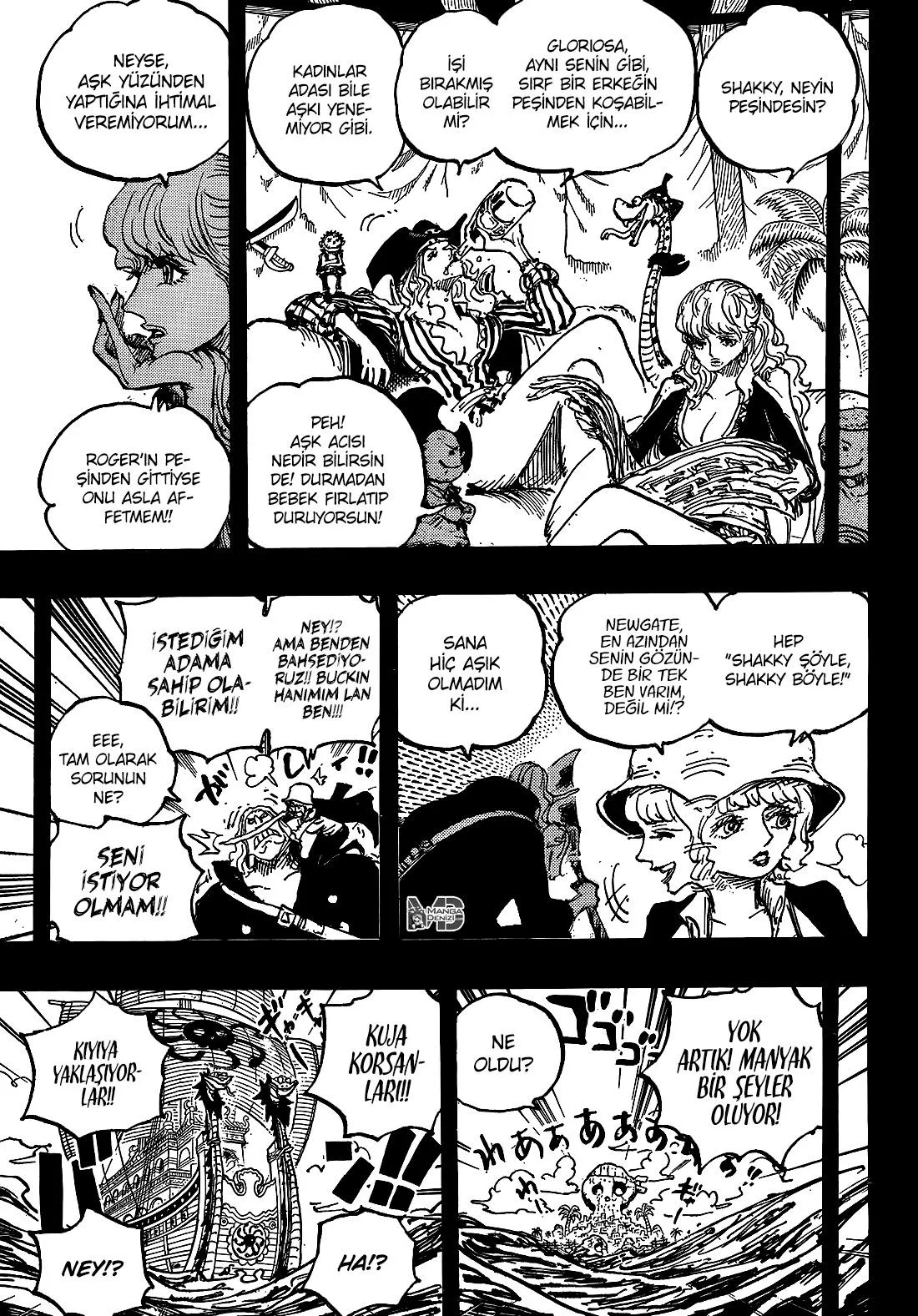 One Piece - Sayfa 12