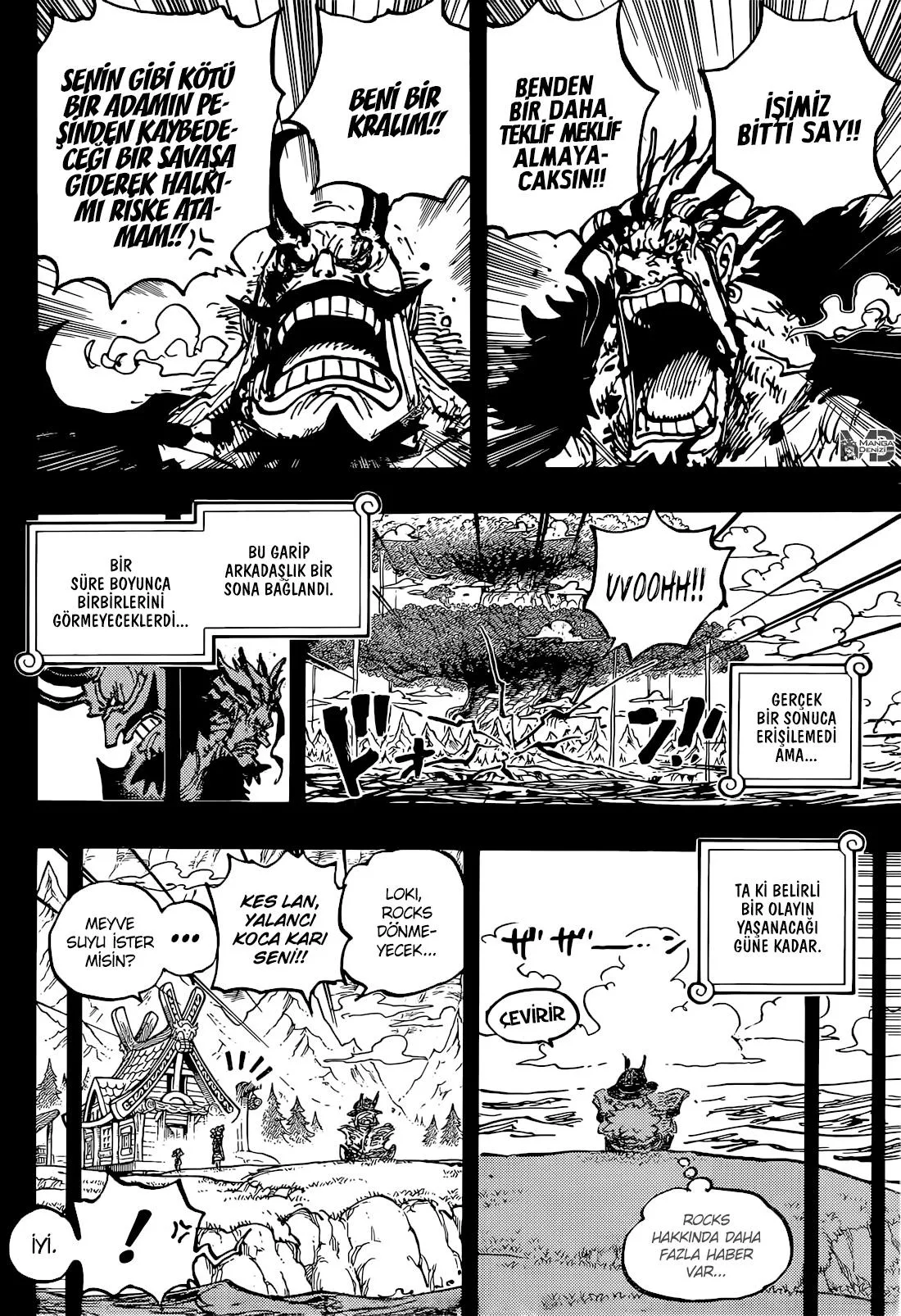 One Piece - Sayfa 13