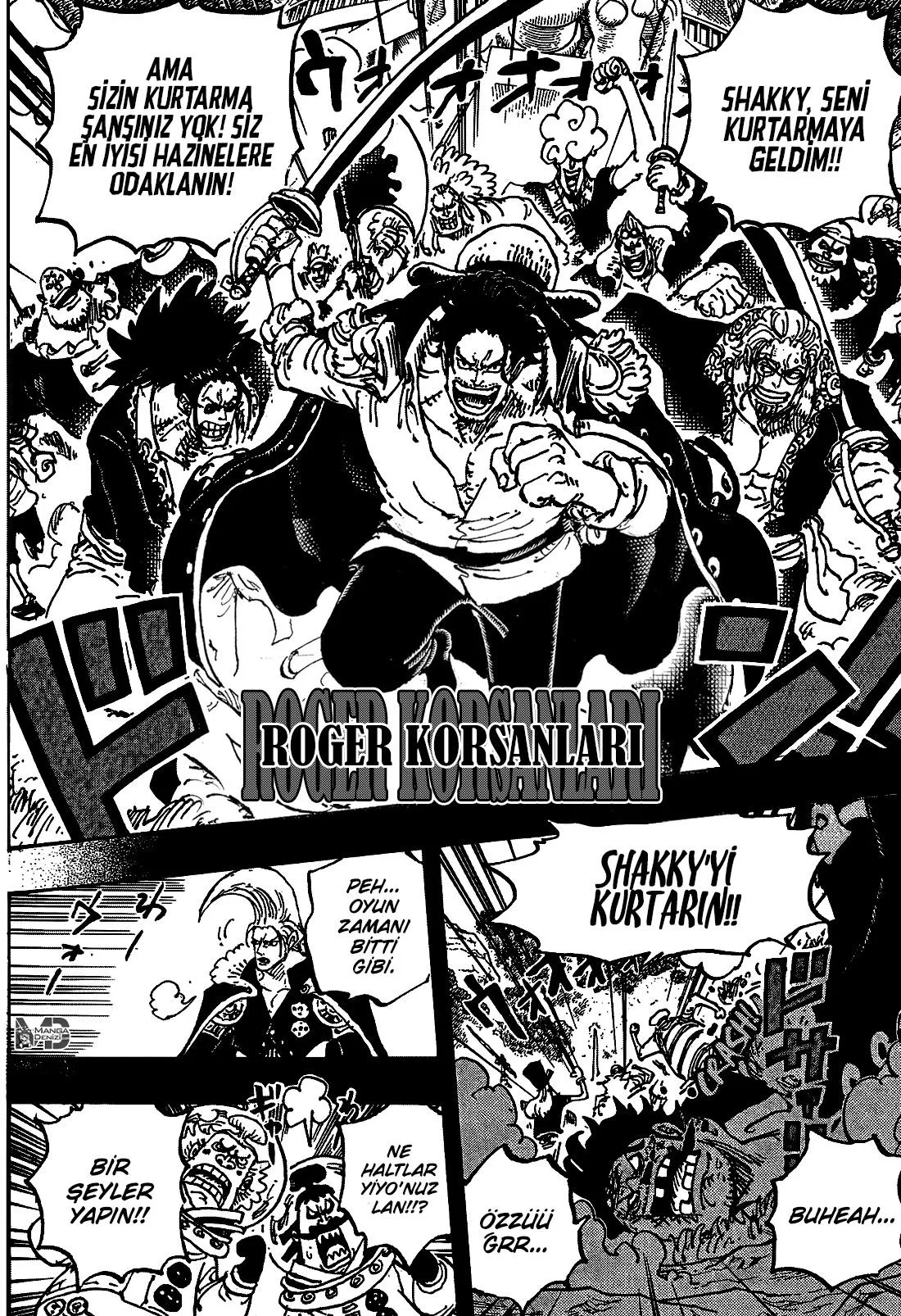 One Piece - Sayfa 13