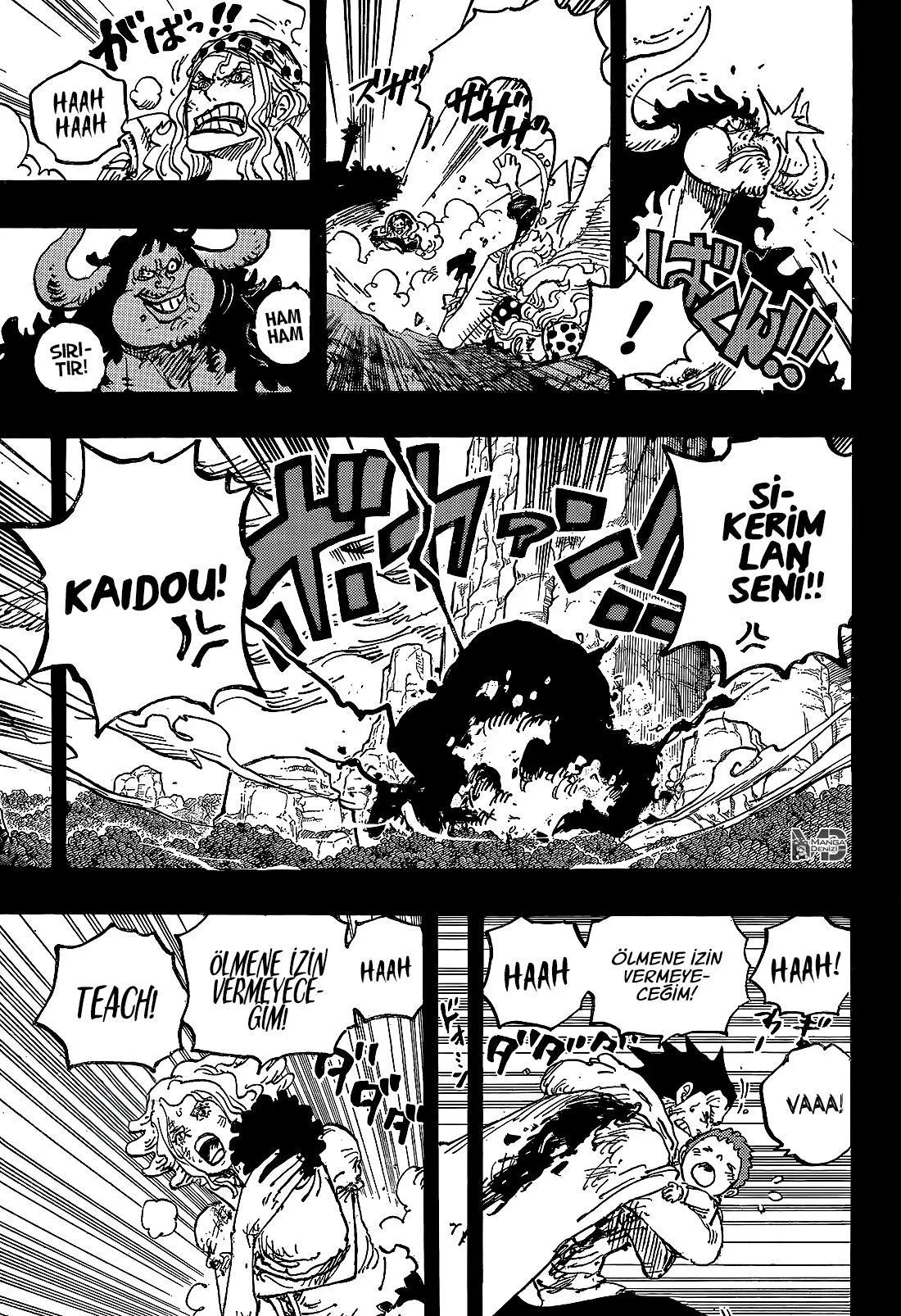 One Piece - Sayfa 12