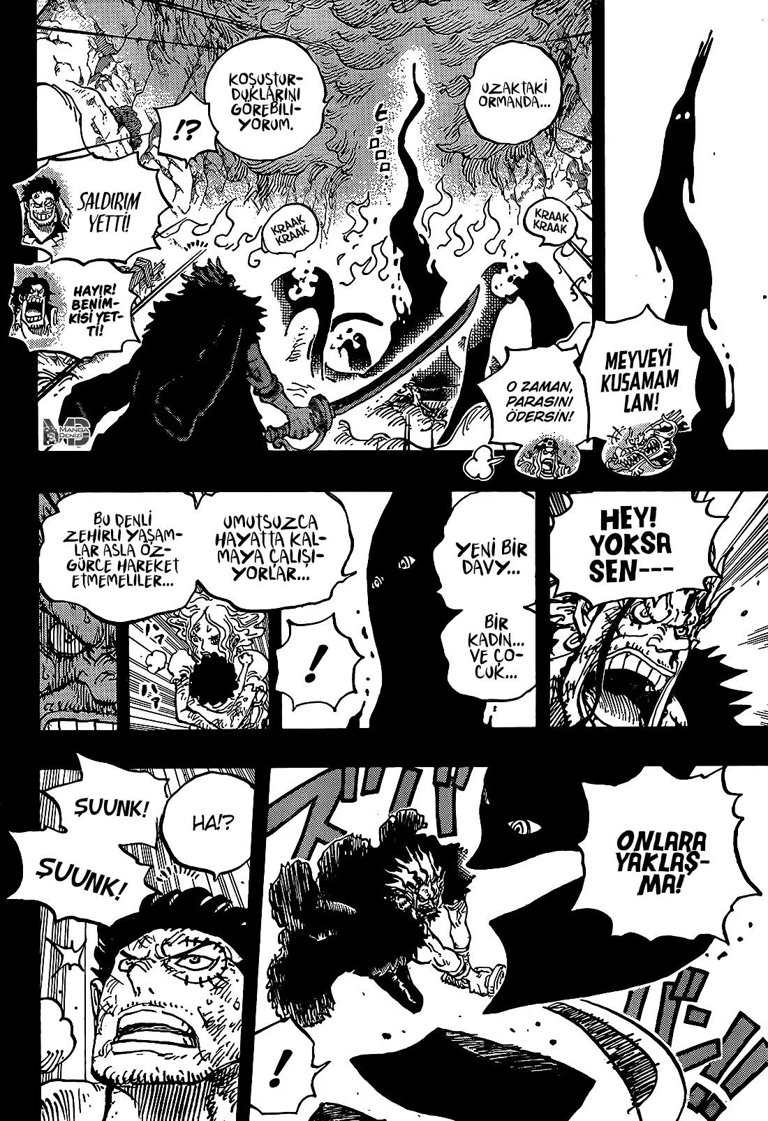 One Piece - Sayfa 14