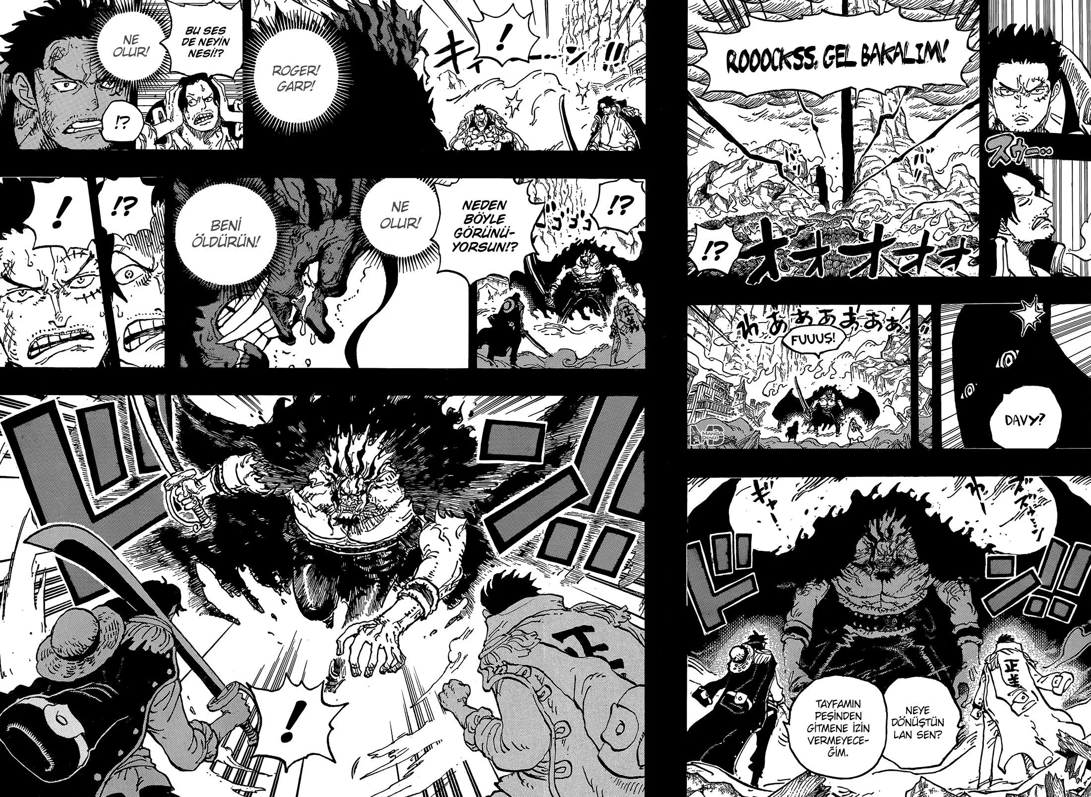 One Piece - Sayfa 15