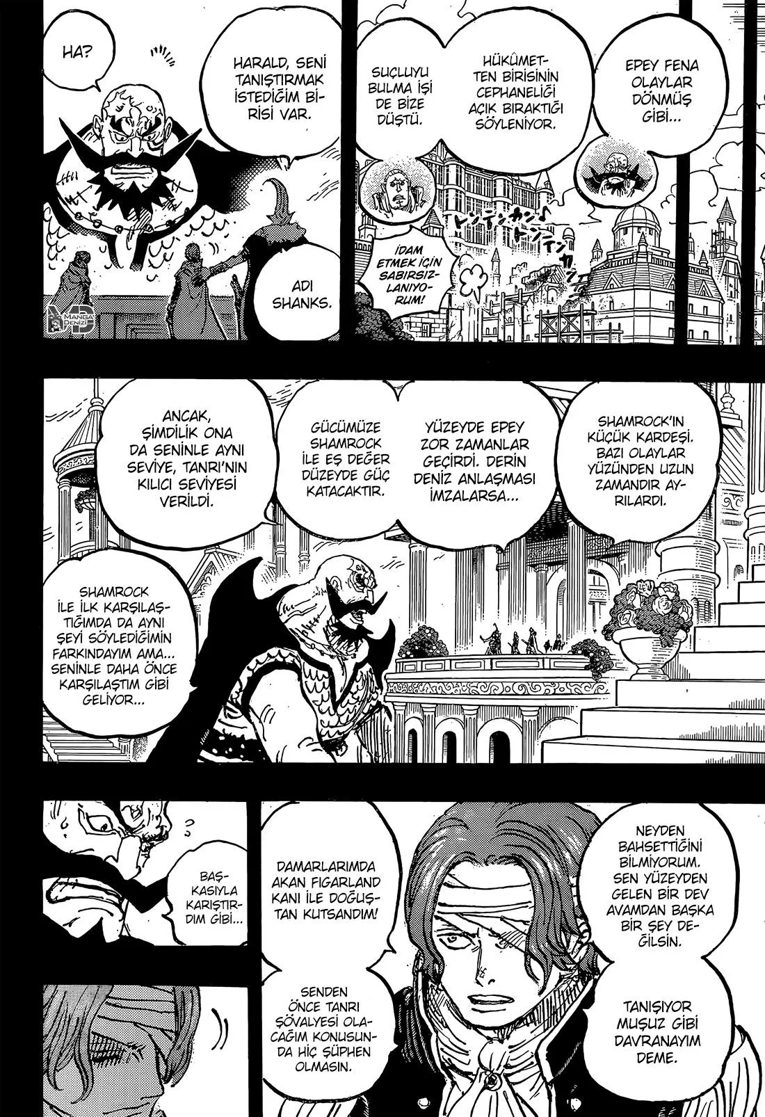 One Piece - Sayfa 13