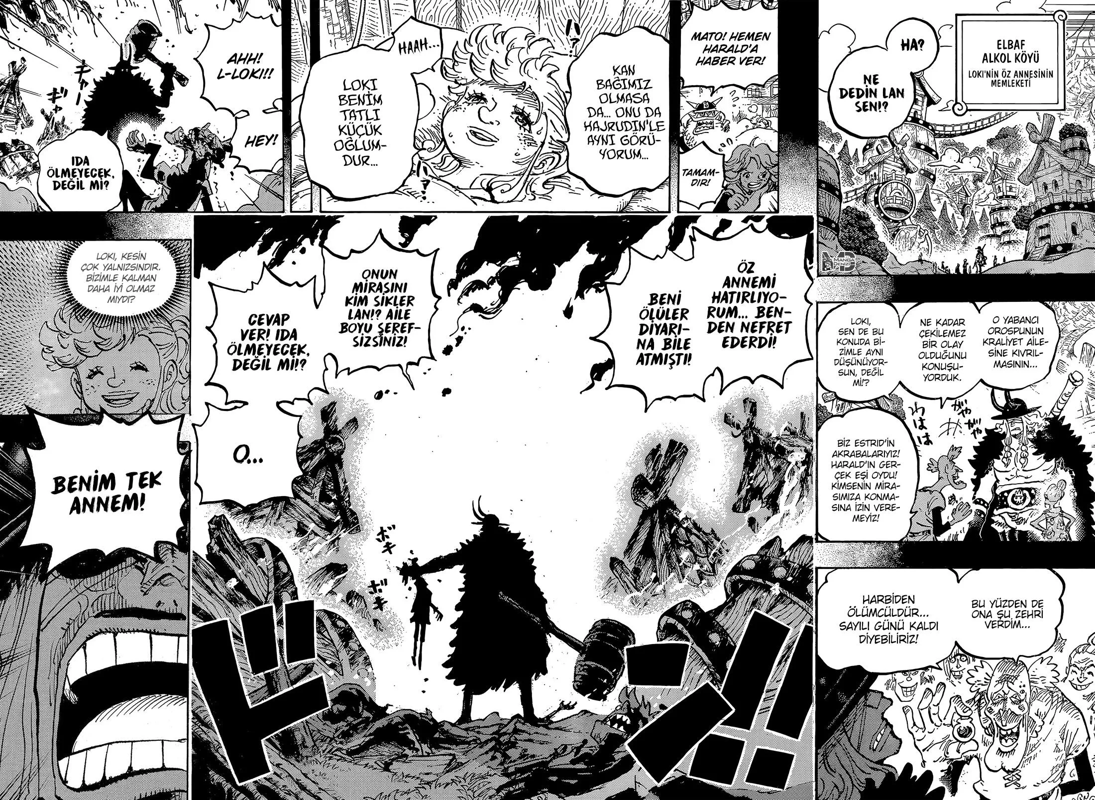 One Piece - Sayfa 17