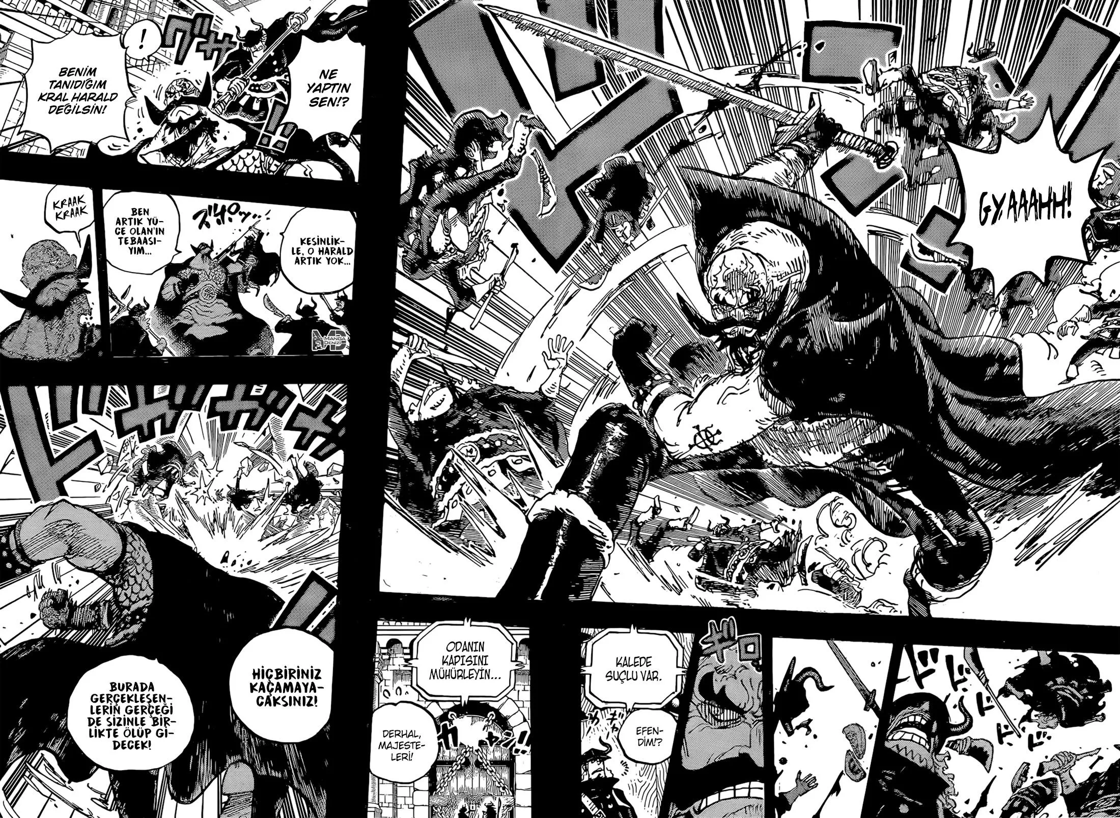 One Piece - Sayfa 13