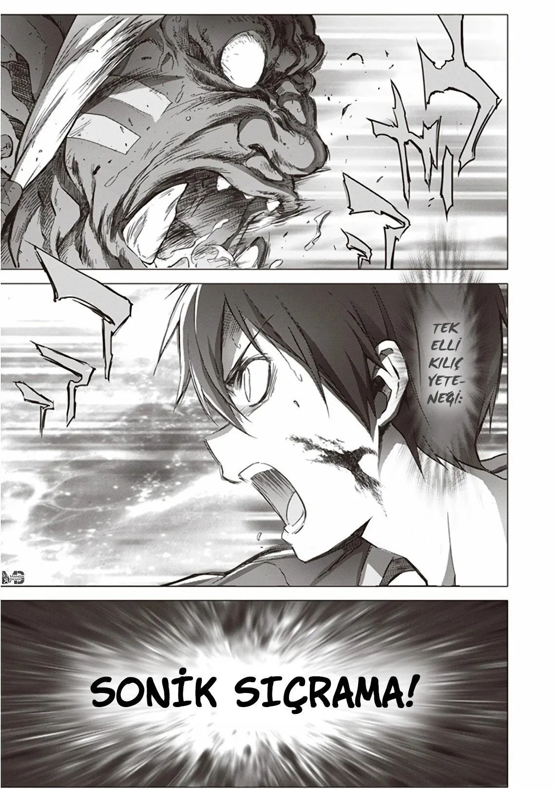 Sword Art Online: Alicization - Sayfa 10