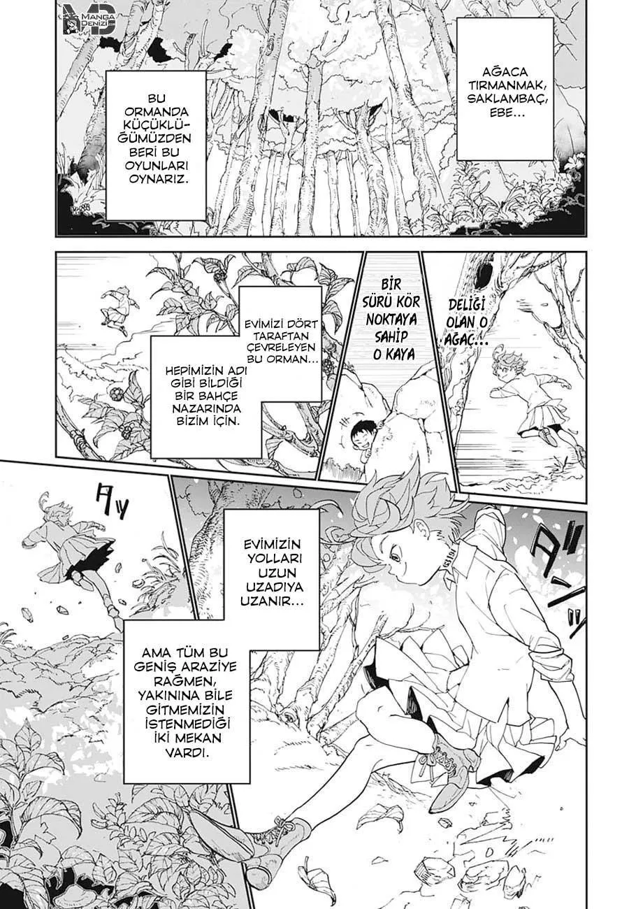 The Promised Neverland - Sayfa 17