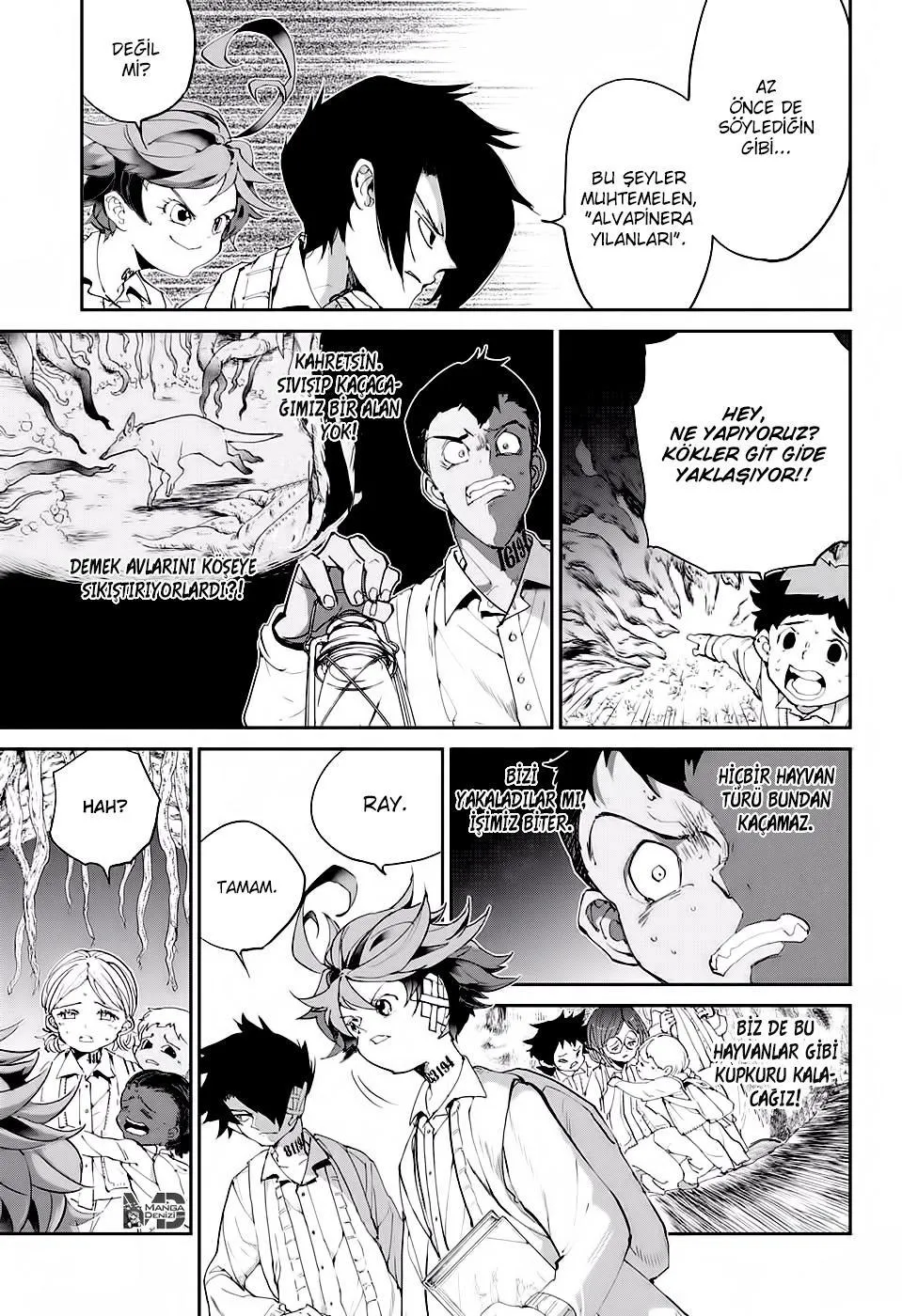The Promised Neverland - Sayfa 11