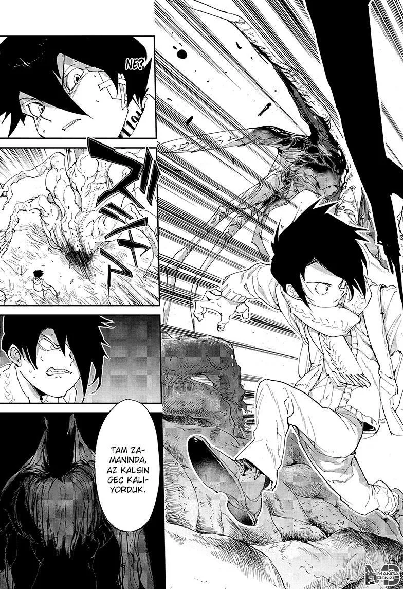 The Promised Neverland - Sayfa 20