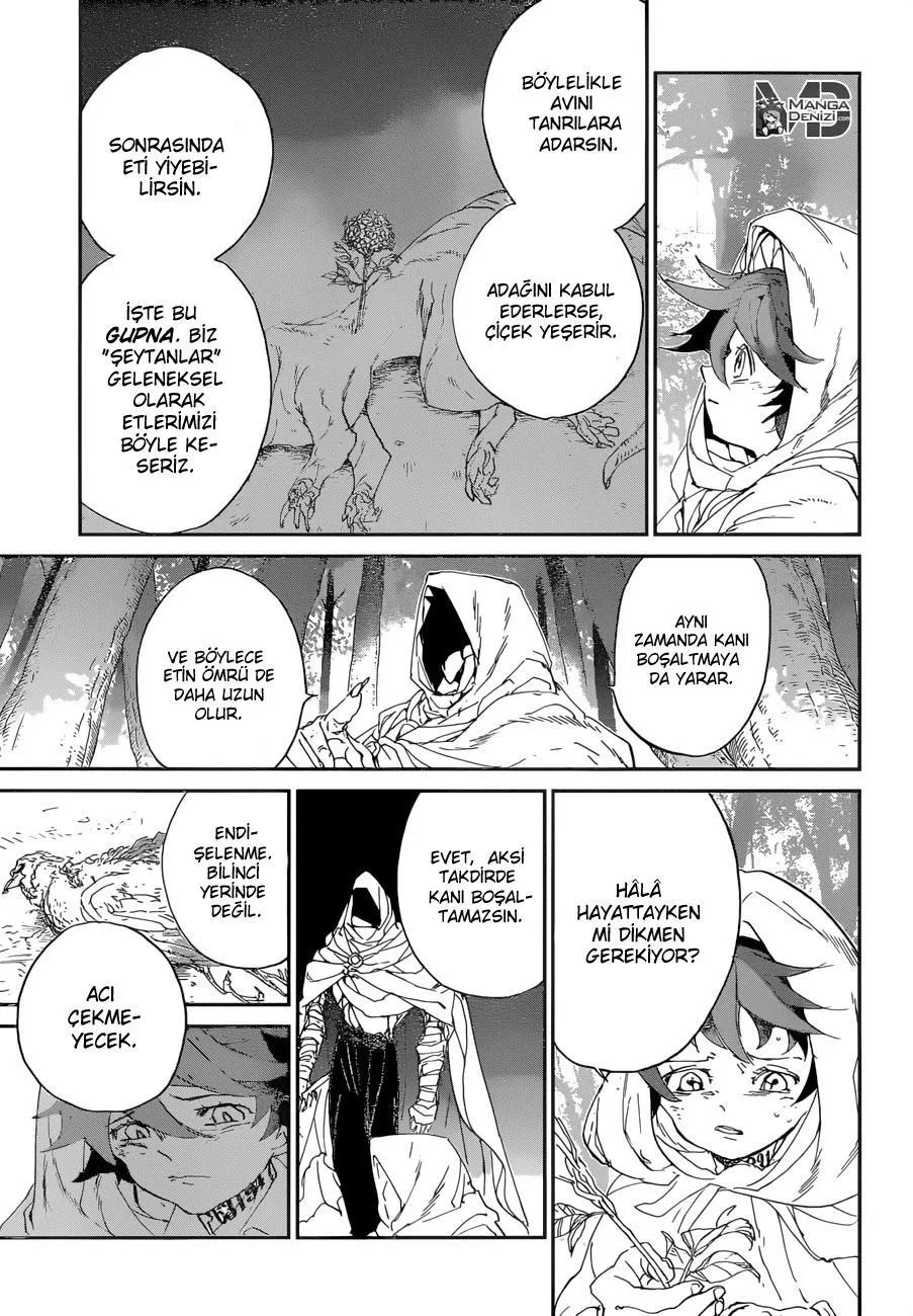 The Promised Neverland - Sayfa 15