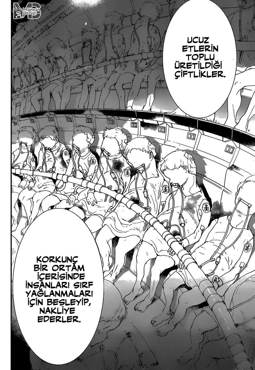 The Promised Neverland - Sayfa 9