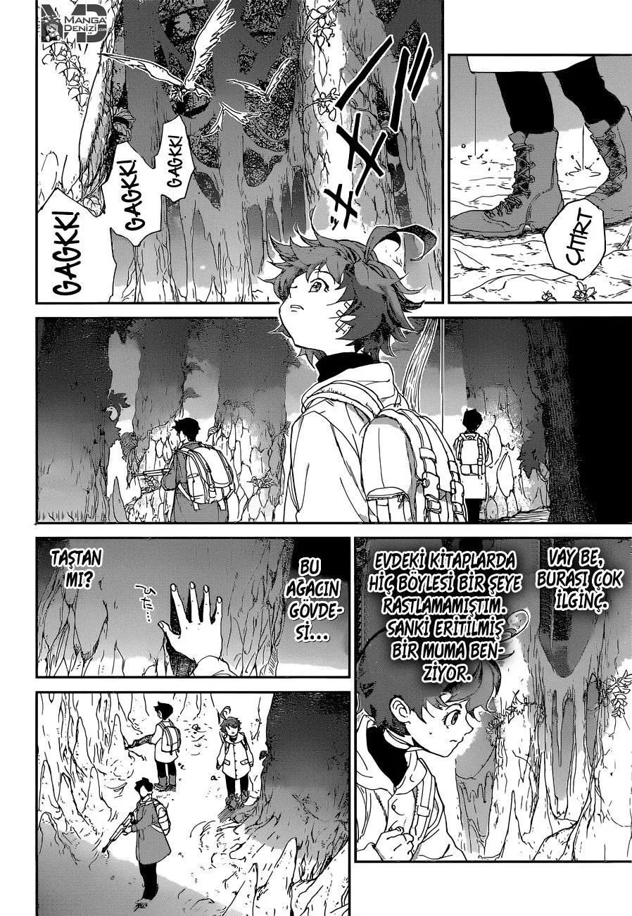 The Promised Neverland - Sayfa 3