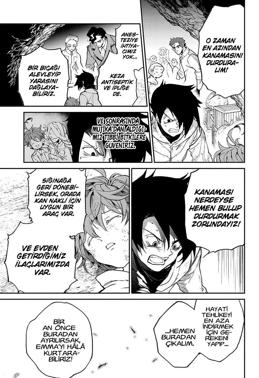 The Promised Neverland - Sayfa 17