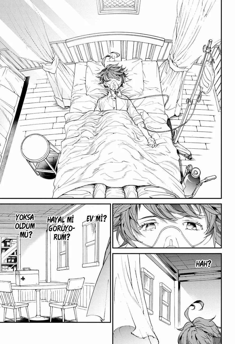 The Promised Neverland - Sayfa 14