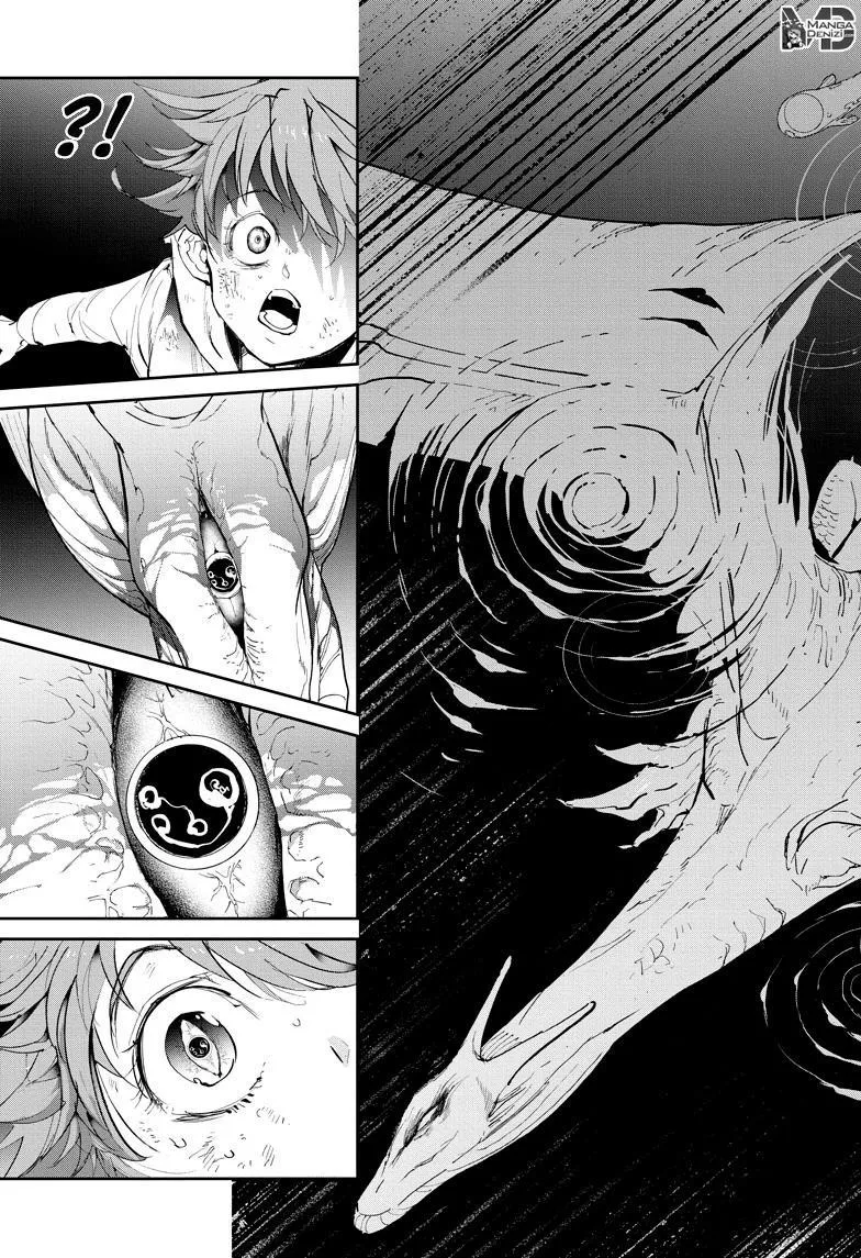 The Promised Neverland - Sayfa 8