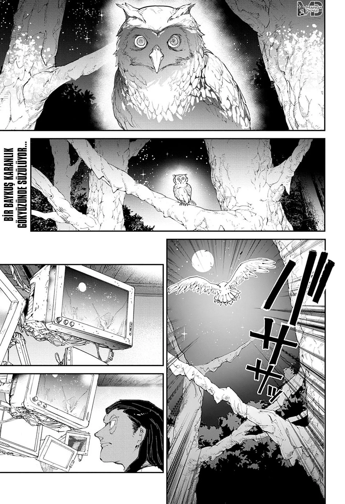 The Promised Neverland - Sayfa 2