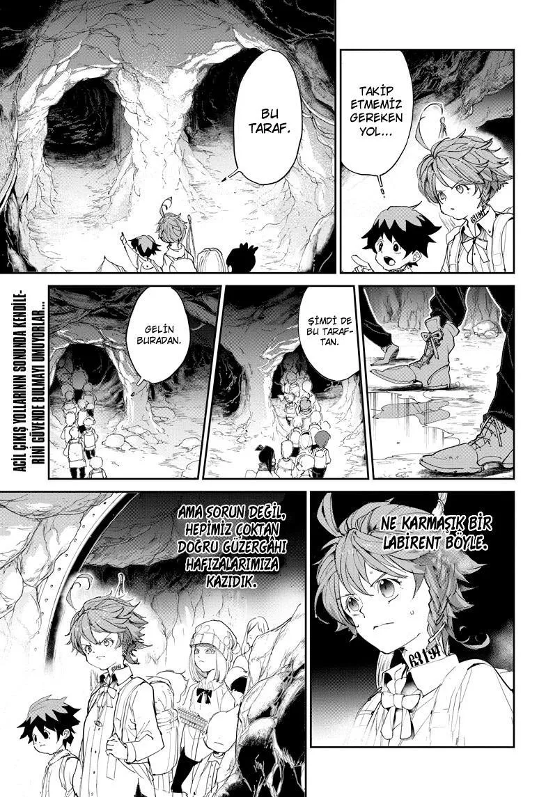 The Promised Neverland - Sayfa 2